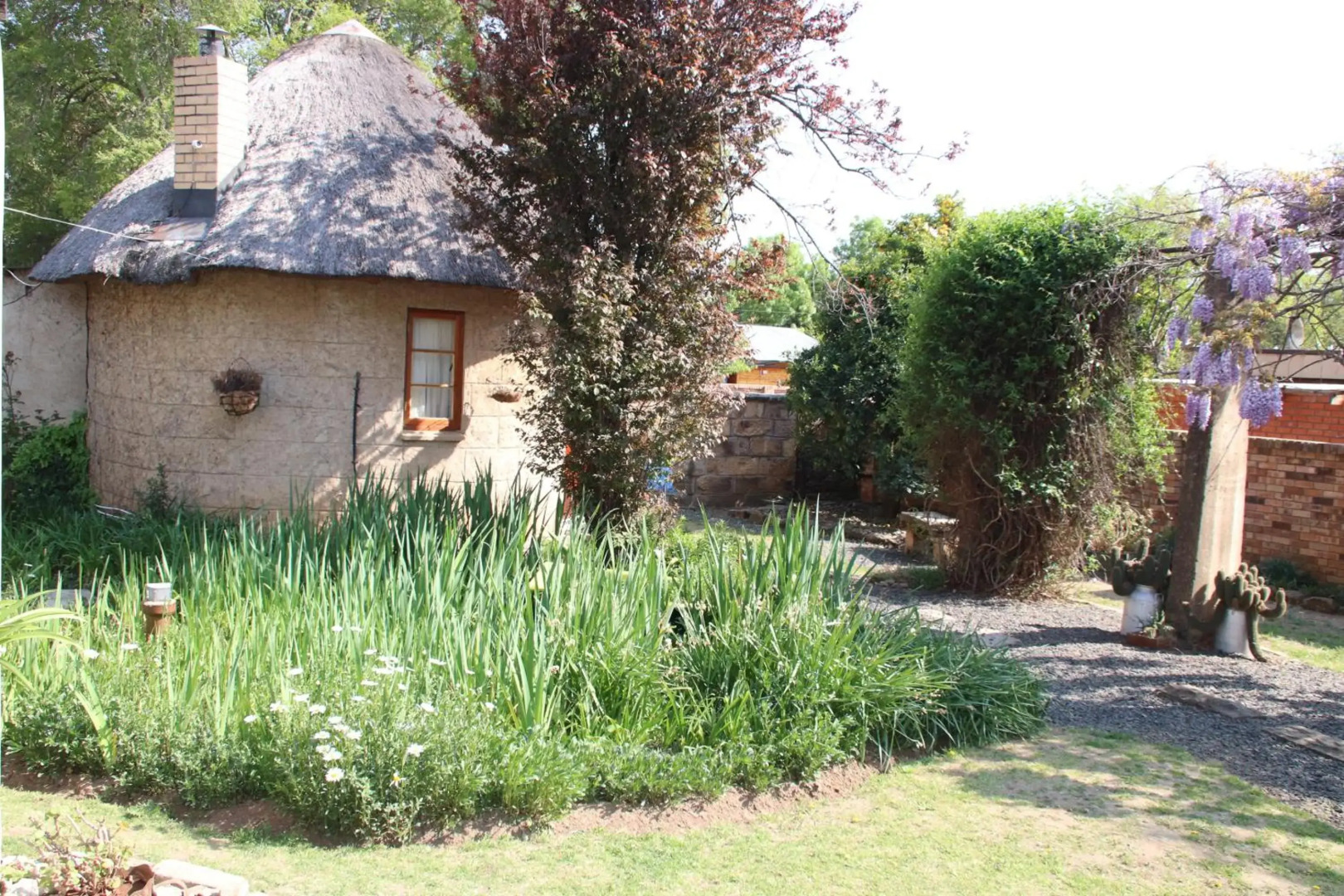 Top House Bed & Breakfast