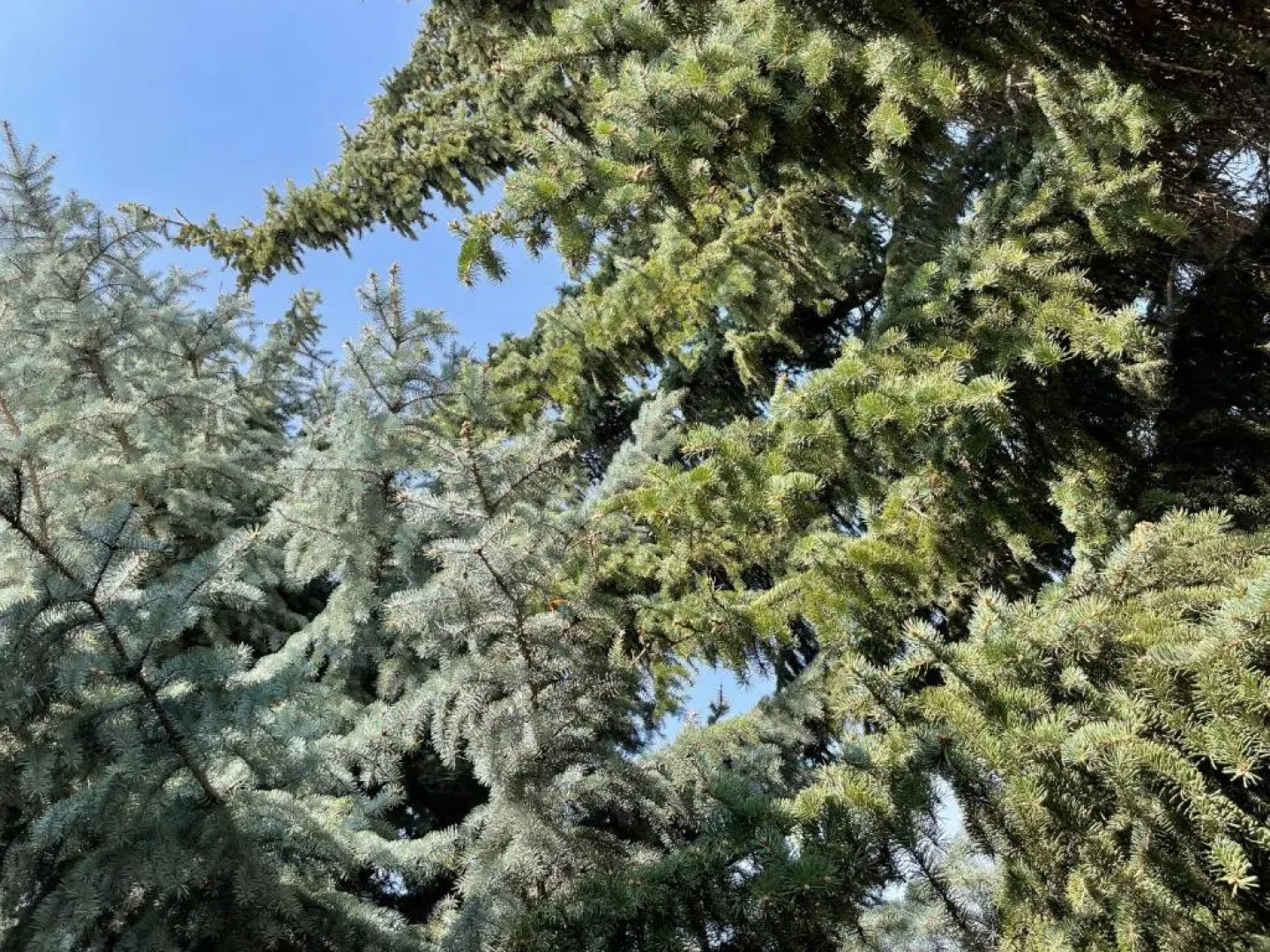 Bungalow Garni Guesthouse