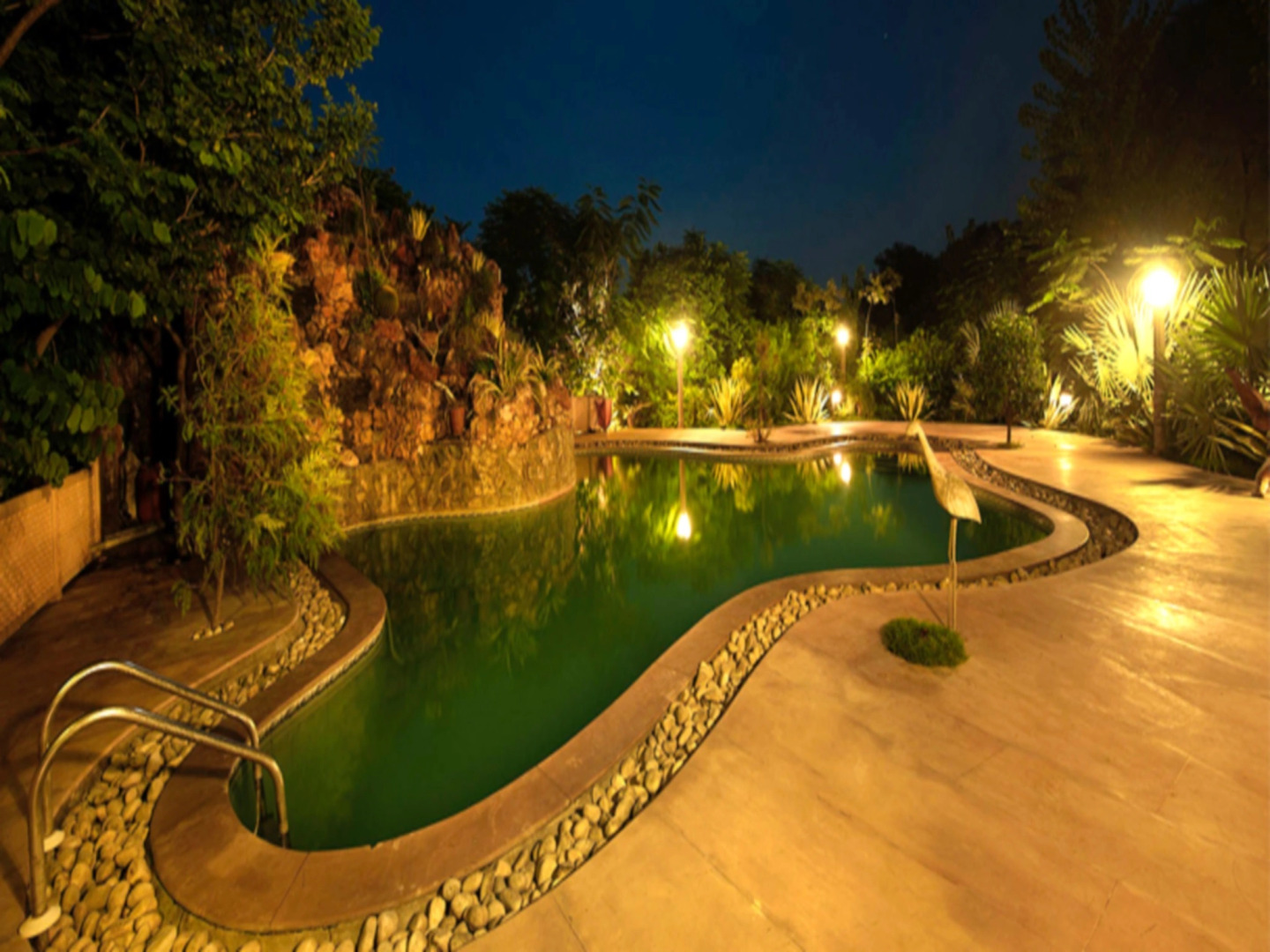 The Tree House Resort