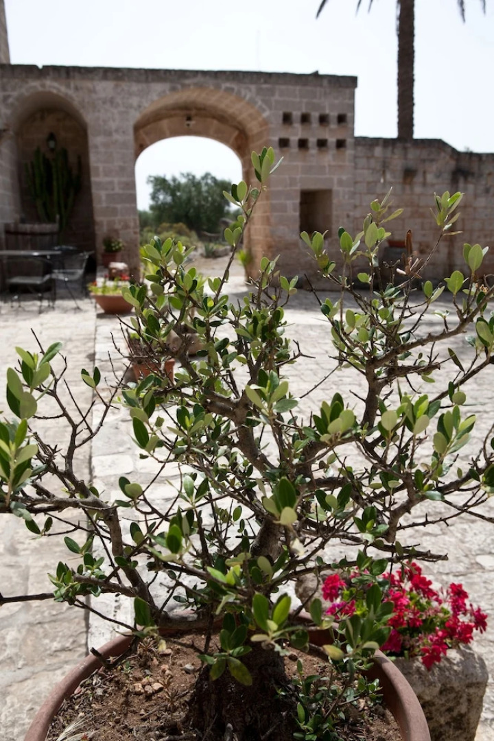 Relais Terre di Terre