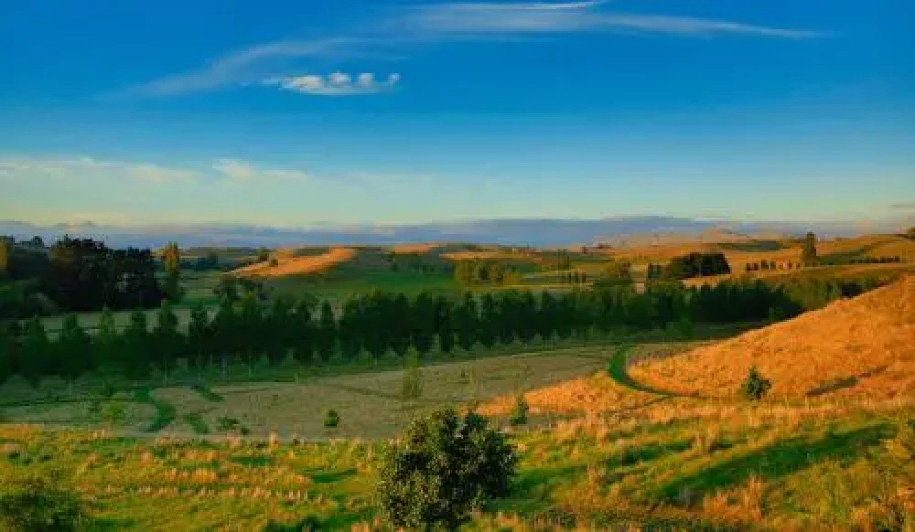 Tree House Lodge Bed & Breakfast