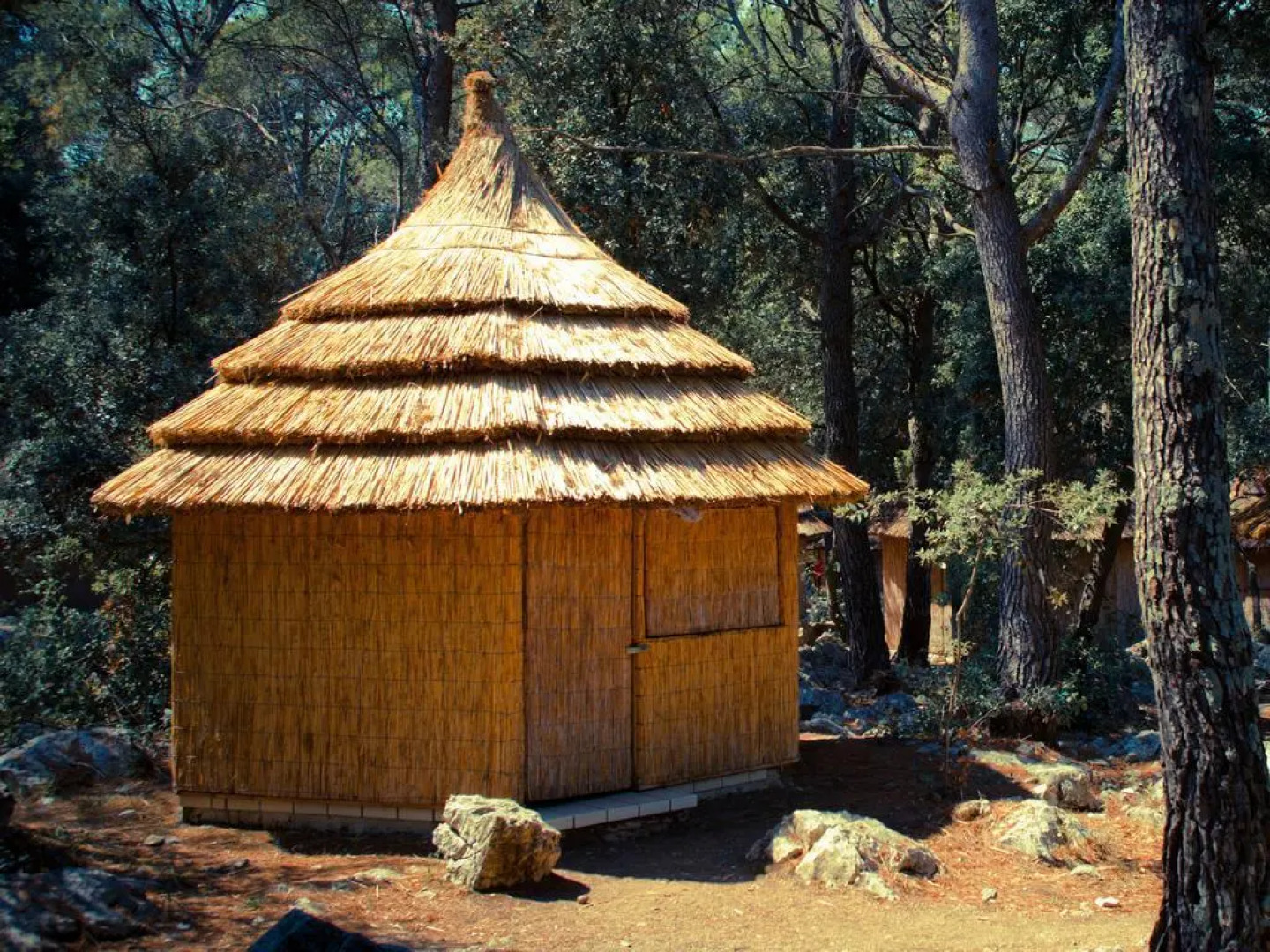 Pine Beach Pakostane - All Inclusive light