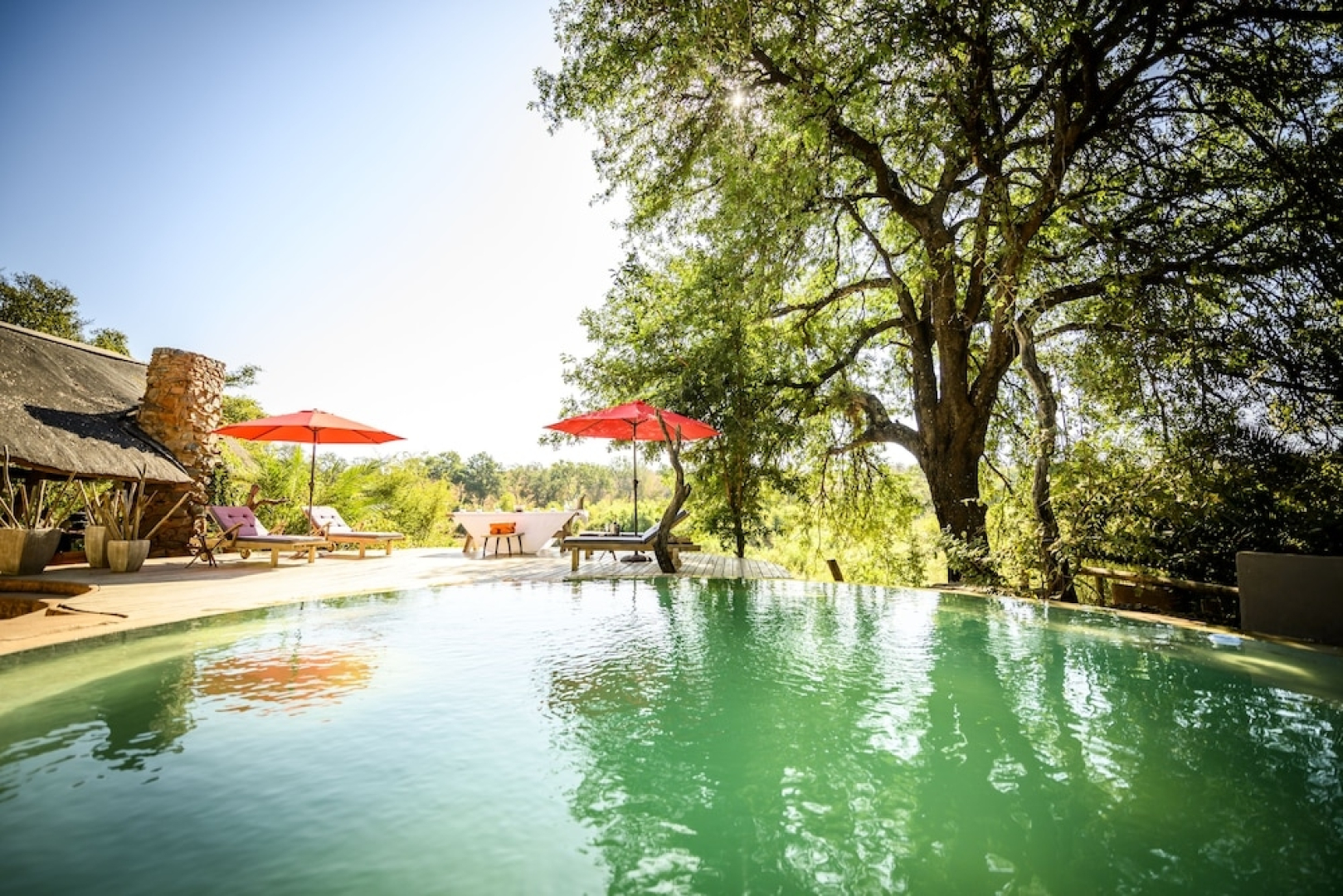 Toro River Lodges Big 5 Exclusive Safari