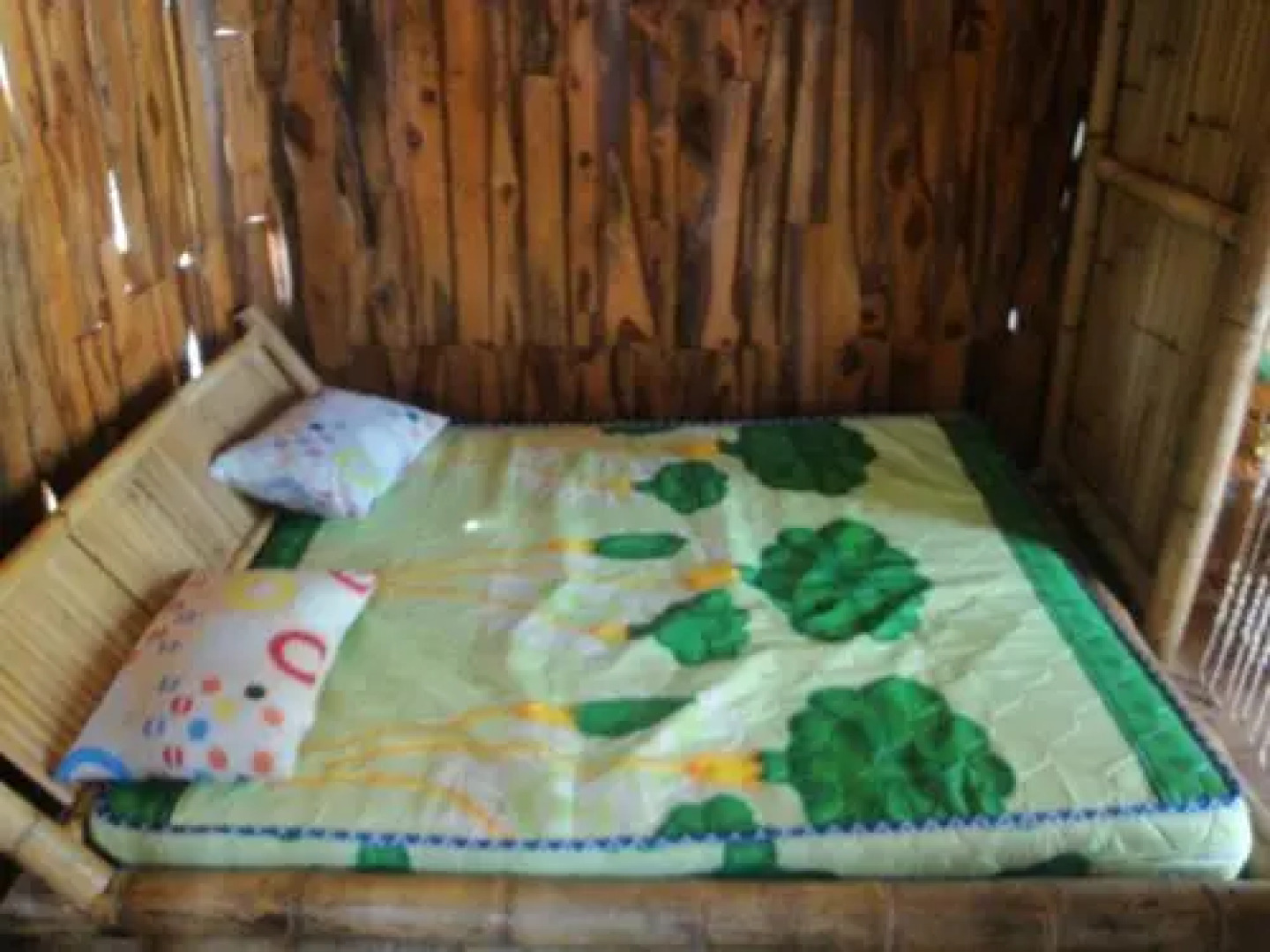 OCD Beach Cafe & Hostel