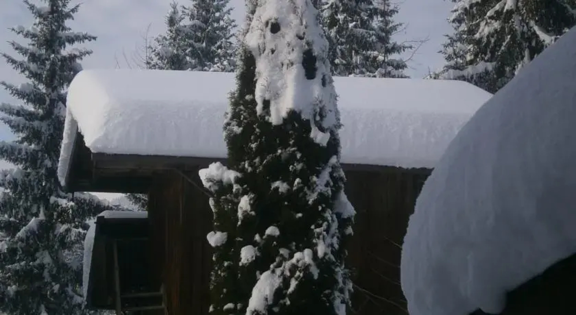 Ferienhaus Wildbachblick