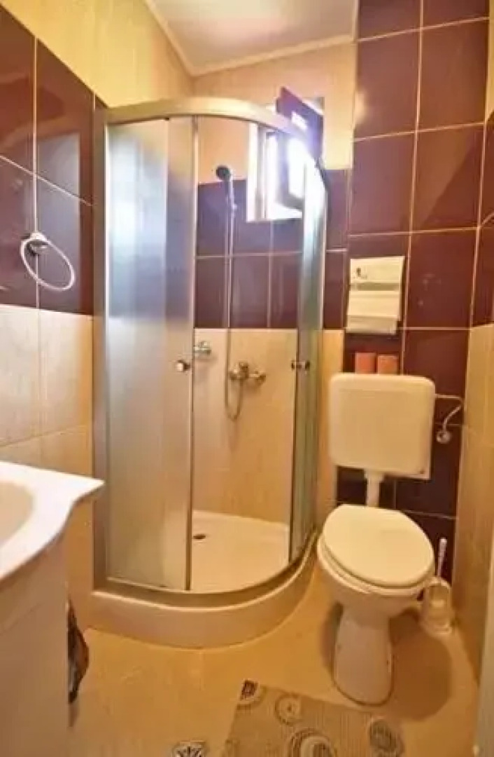 Pensiunea Juliana Arieseni