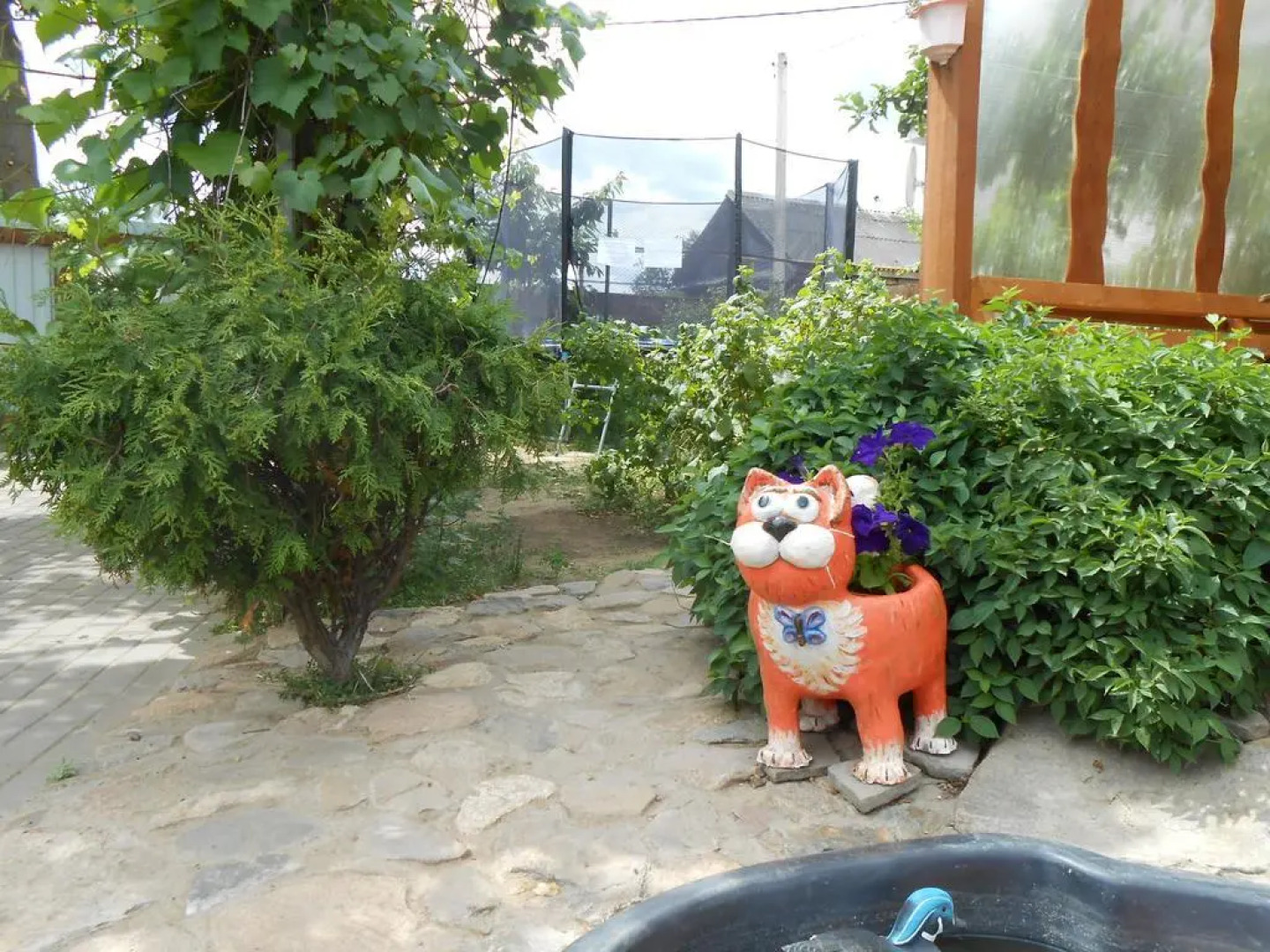 Усадьба на реке Бобр