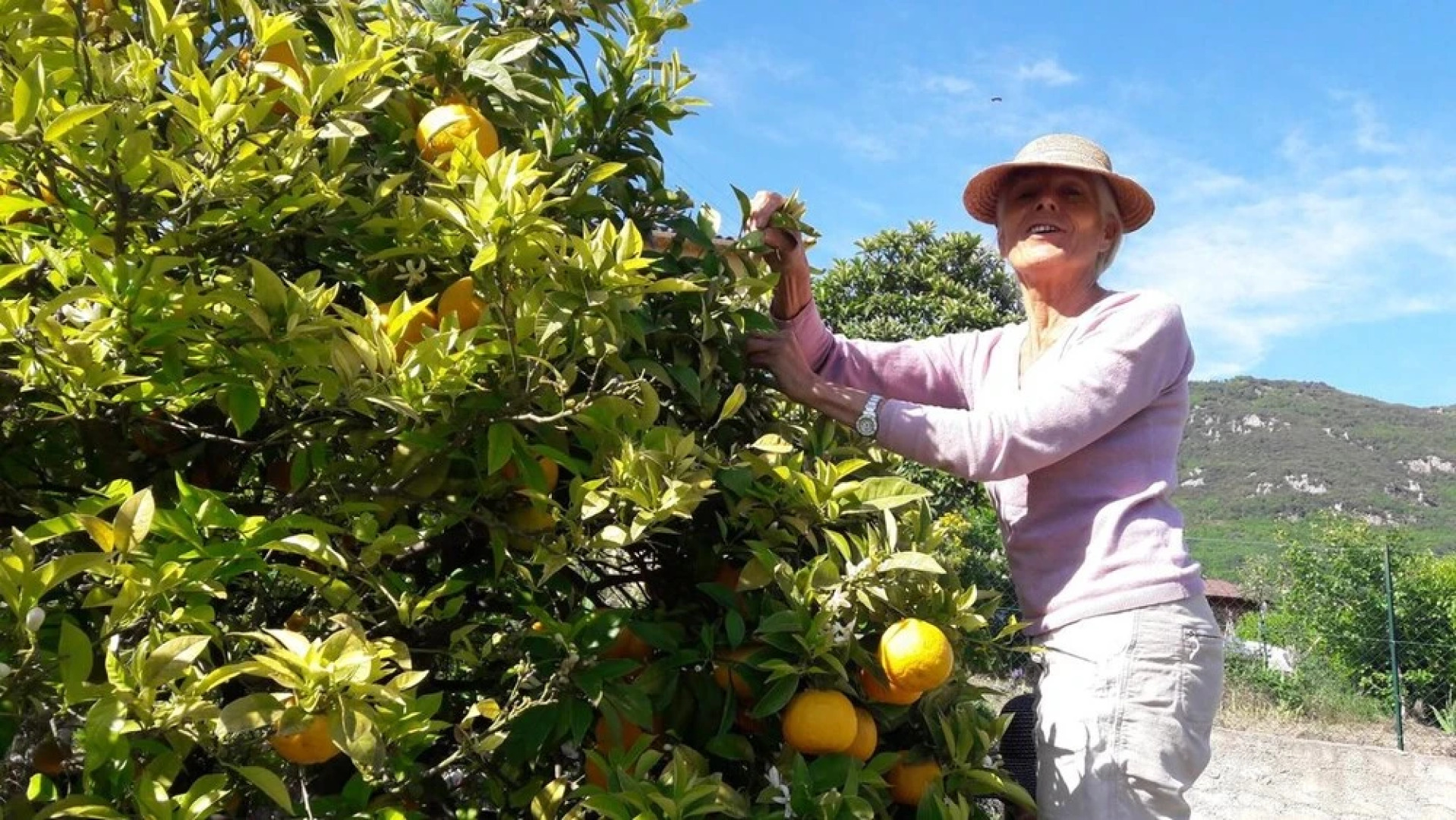 Apartment With one Bedroom in Le Bar-sur-loup, With Wonderful Mountain View, Enclosed Garden and Wifi