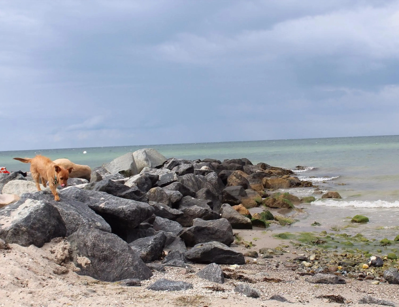 ❤️ Kleine Auszeit ❤️