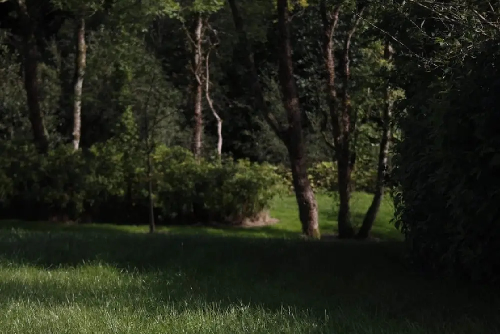 Roe Valley Manor and Estate