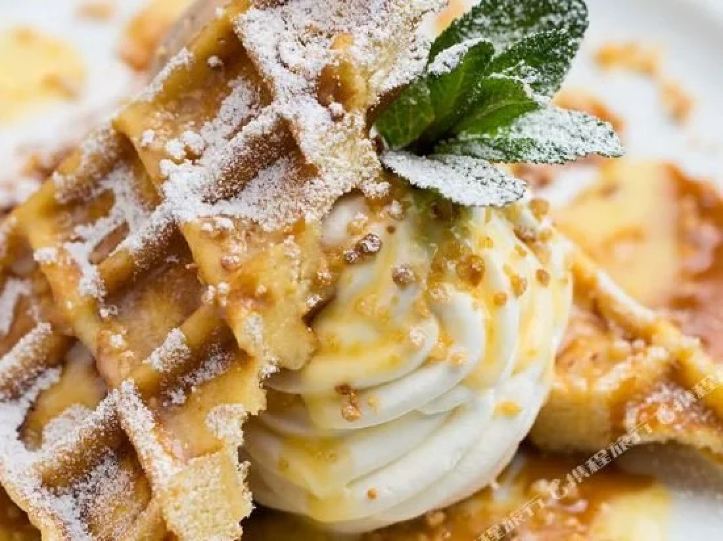 B&B Gästehaus Hallerhof