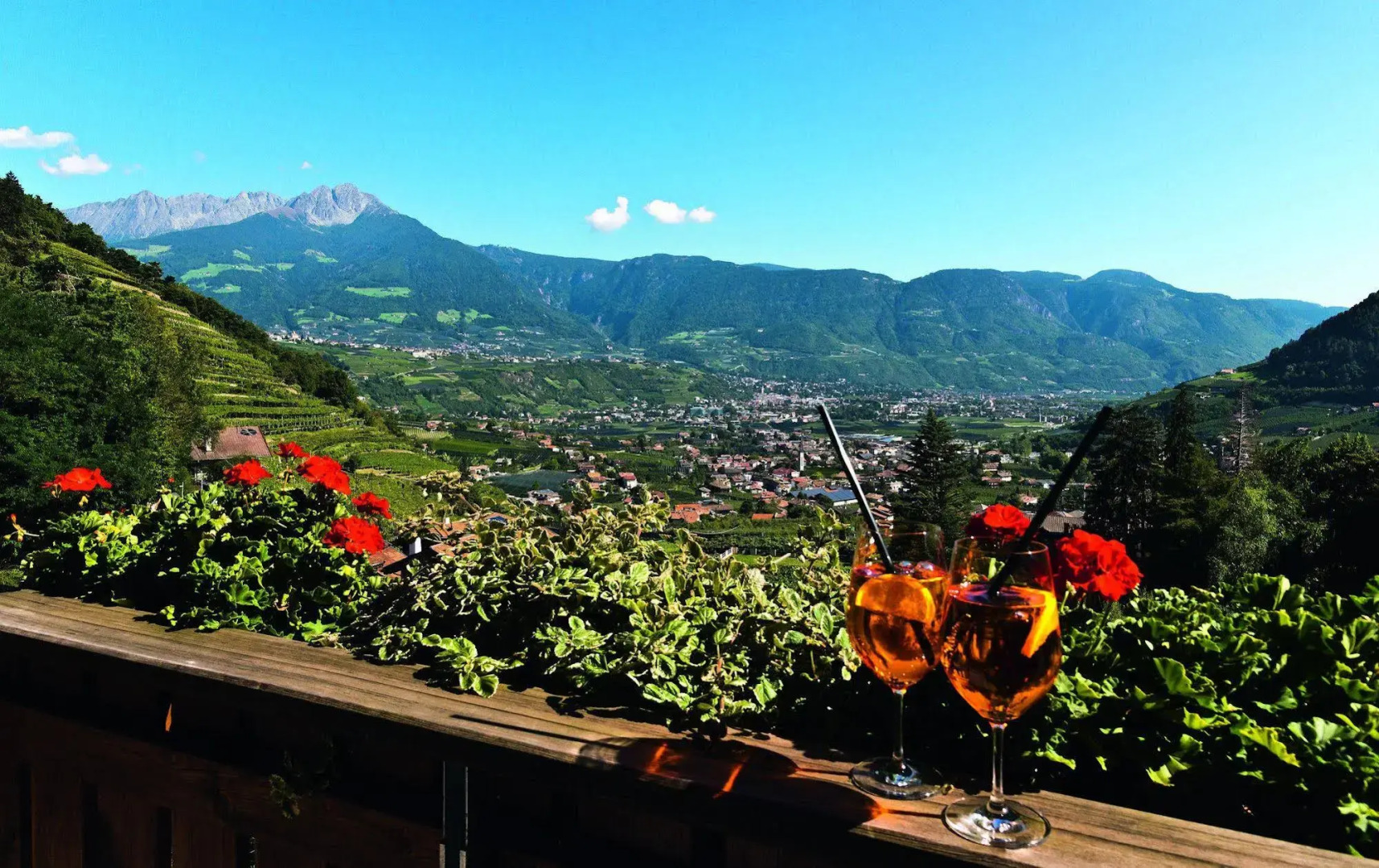 Avidea - Adults Only