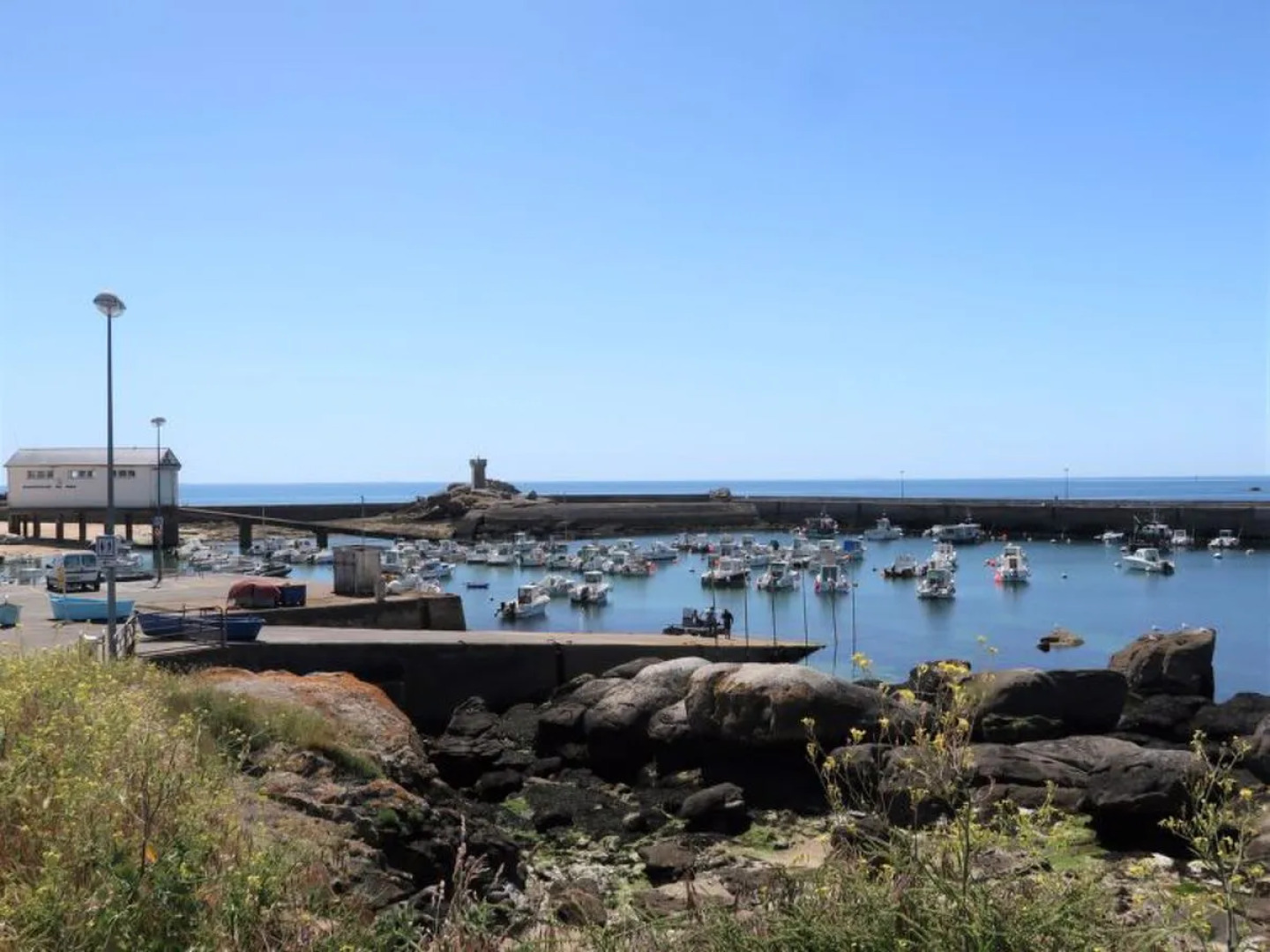 La Lauremma (TGC124)