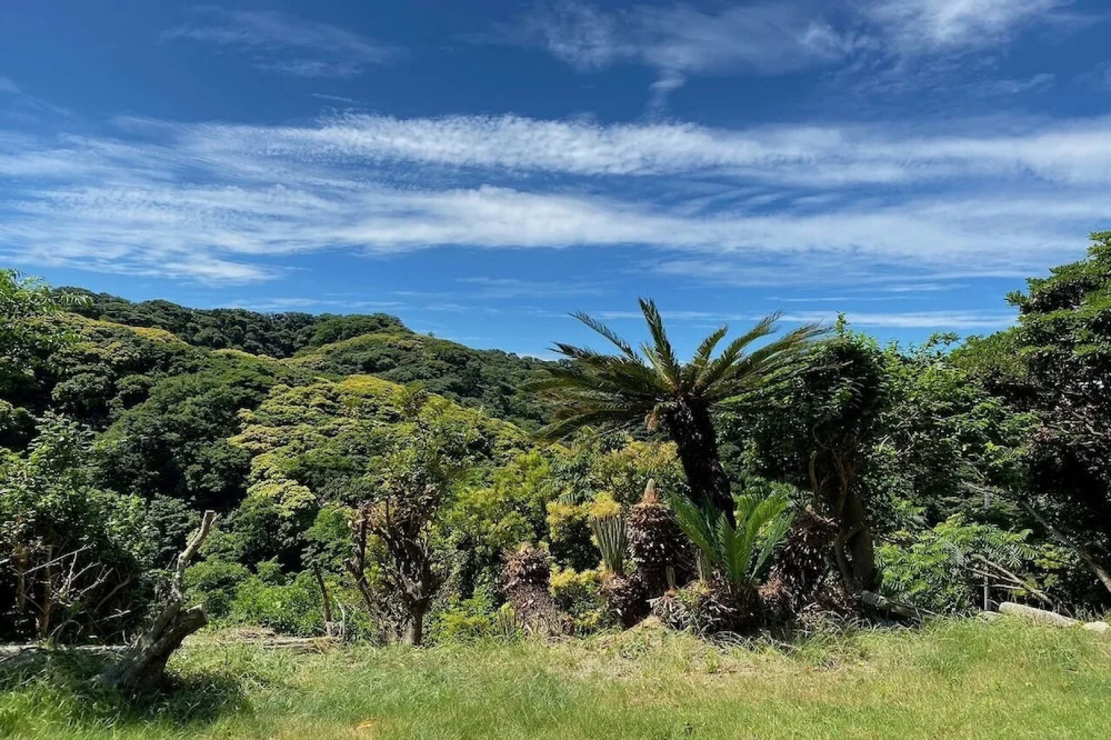 Sasayakana Ouchi Fuuki