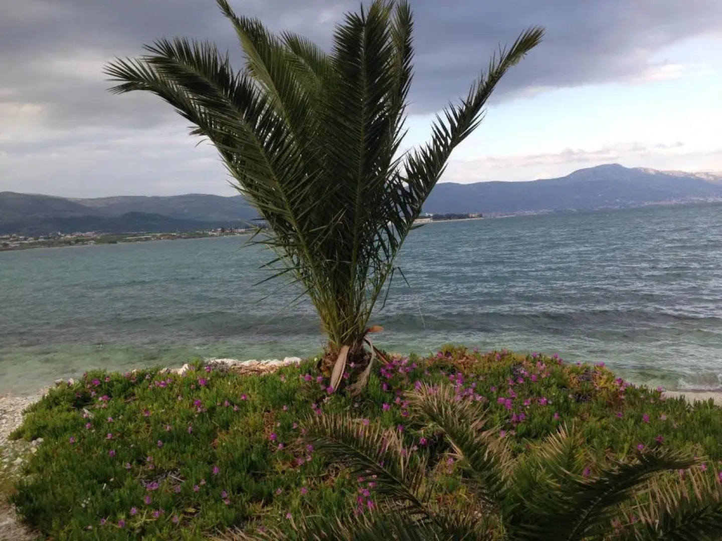 Apartments Exclusive Palace