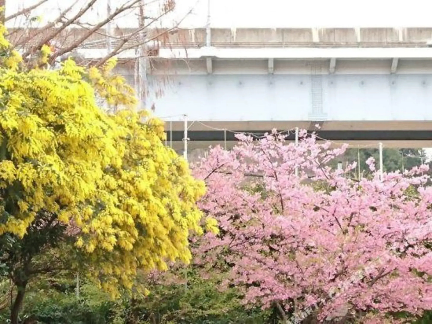 Izu Village Heso Hotel