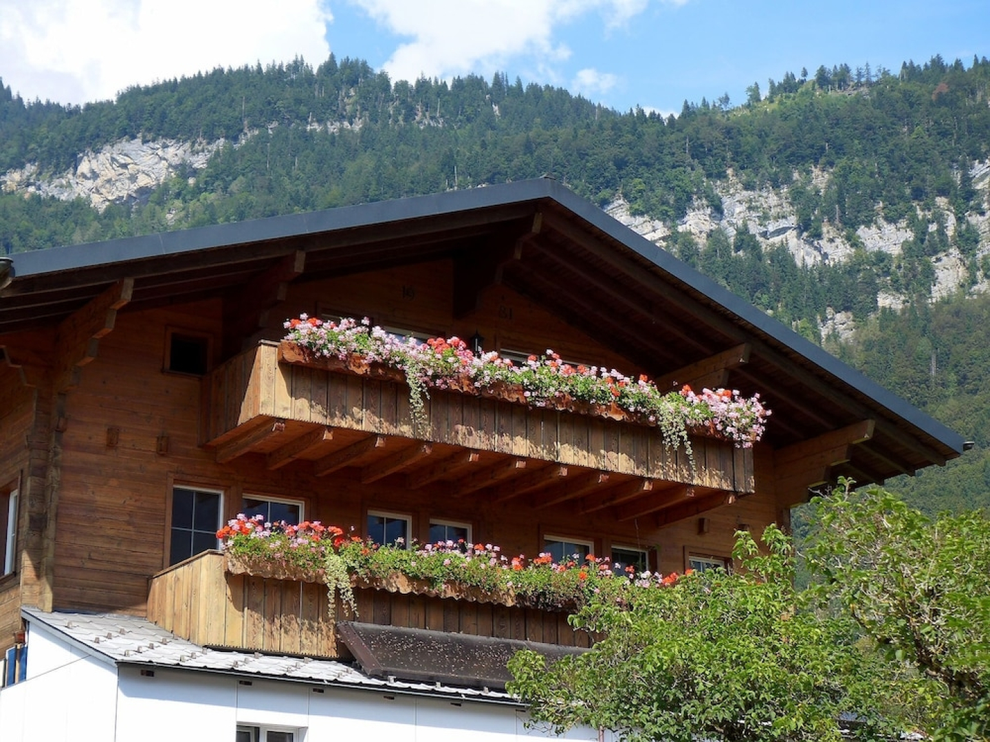 Oltschiblick Brienzwiler