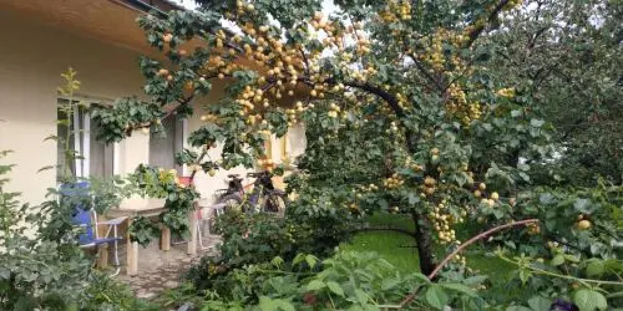 Evergreen (Каракол)