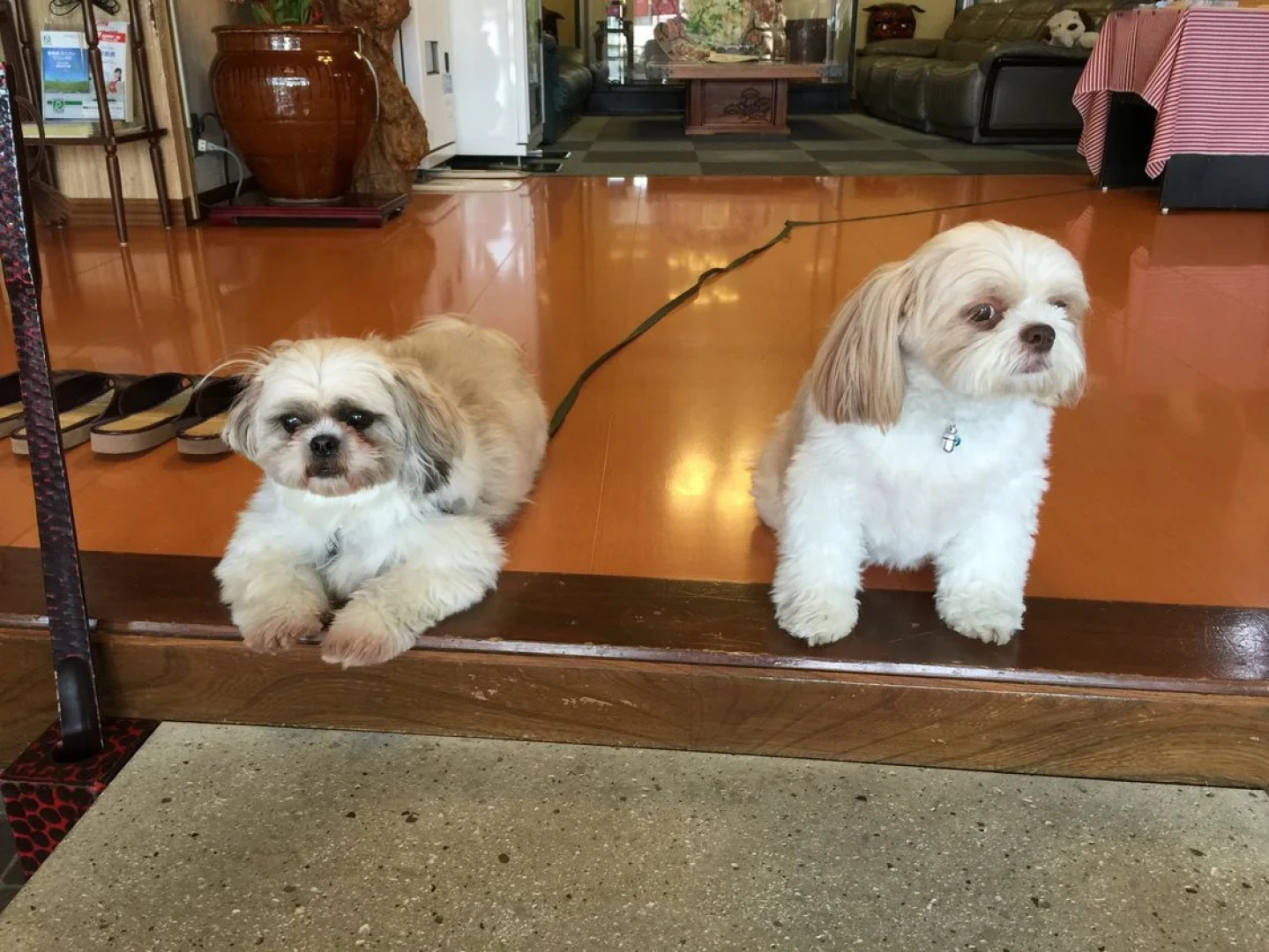 Akayu Onsen Masugataya Ryokan