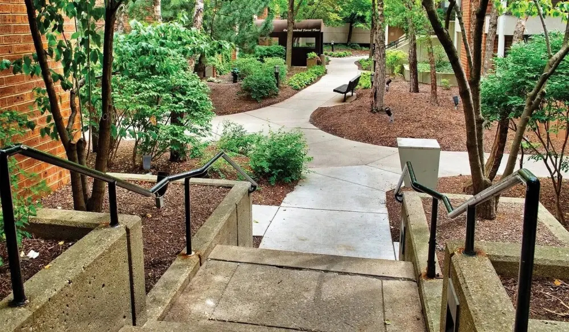 Charming 1br/1ba Hideaway In Oak Park, Il