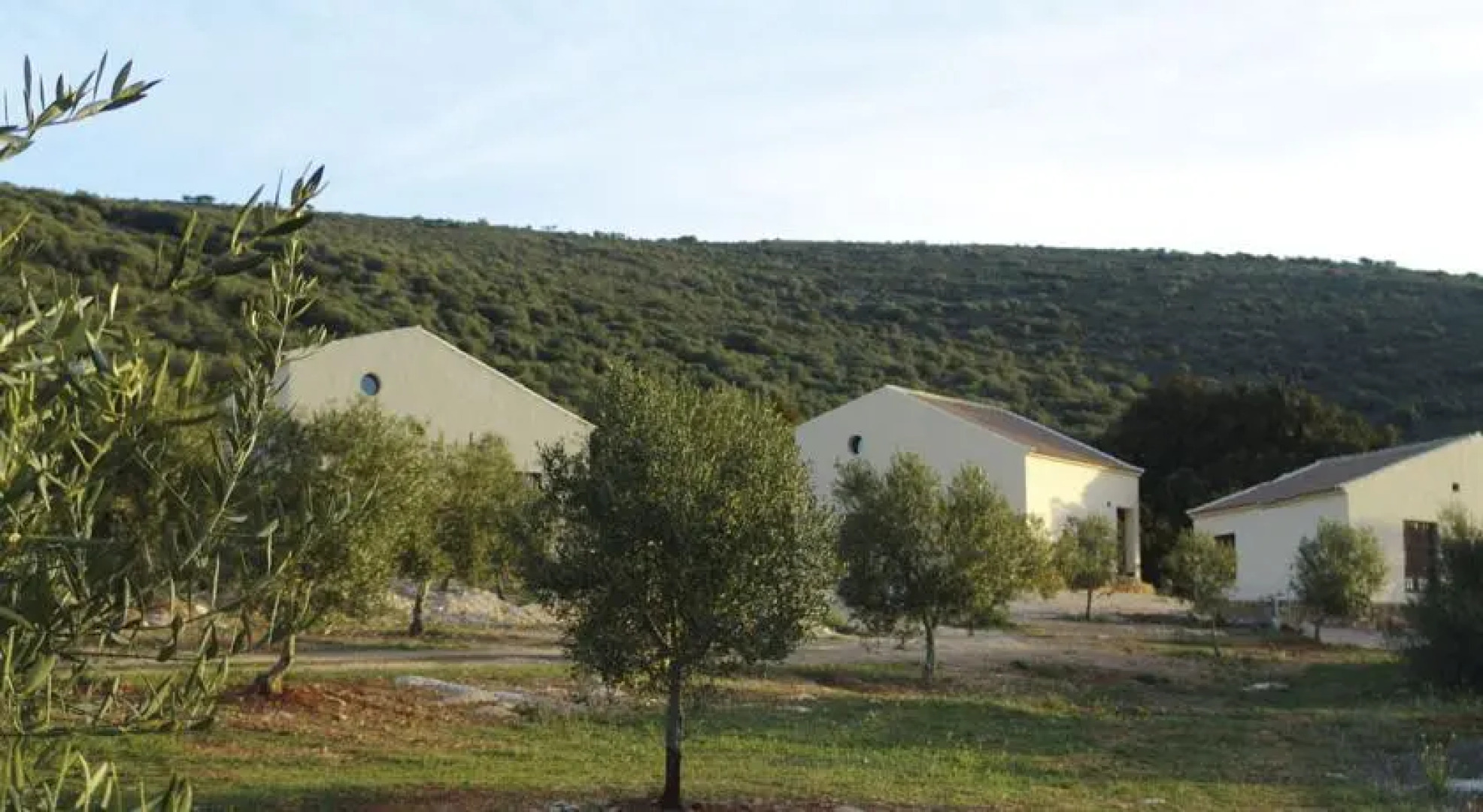 Casas Rurales Cortijo la Cañada