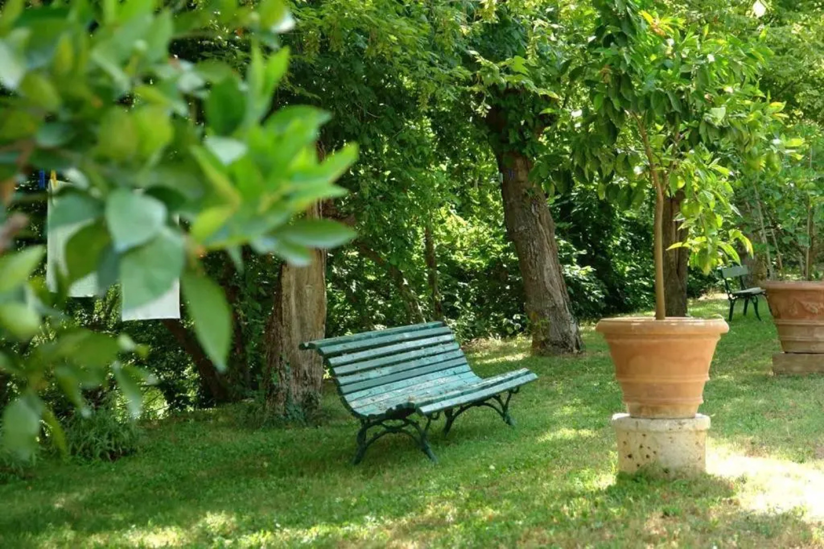 Ginestra Holiday Home