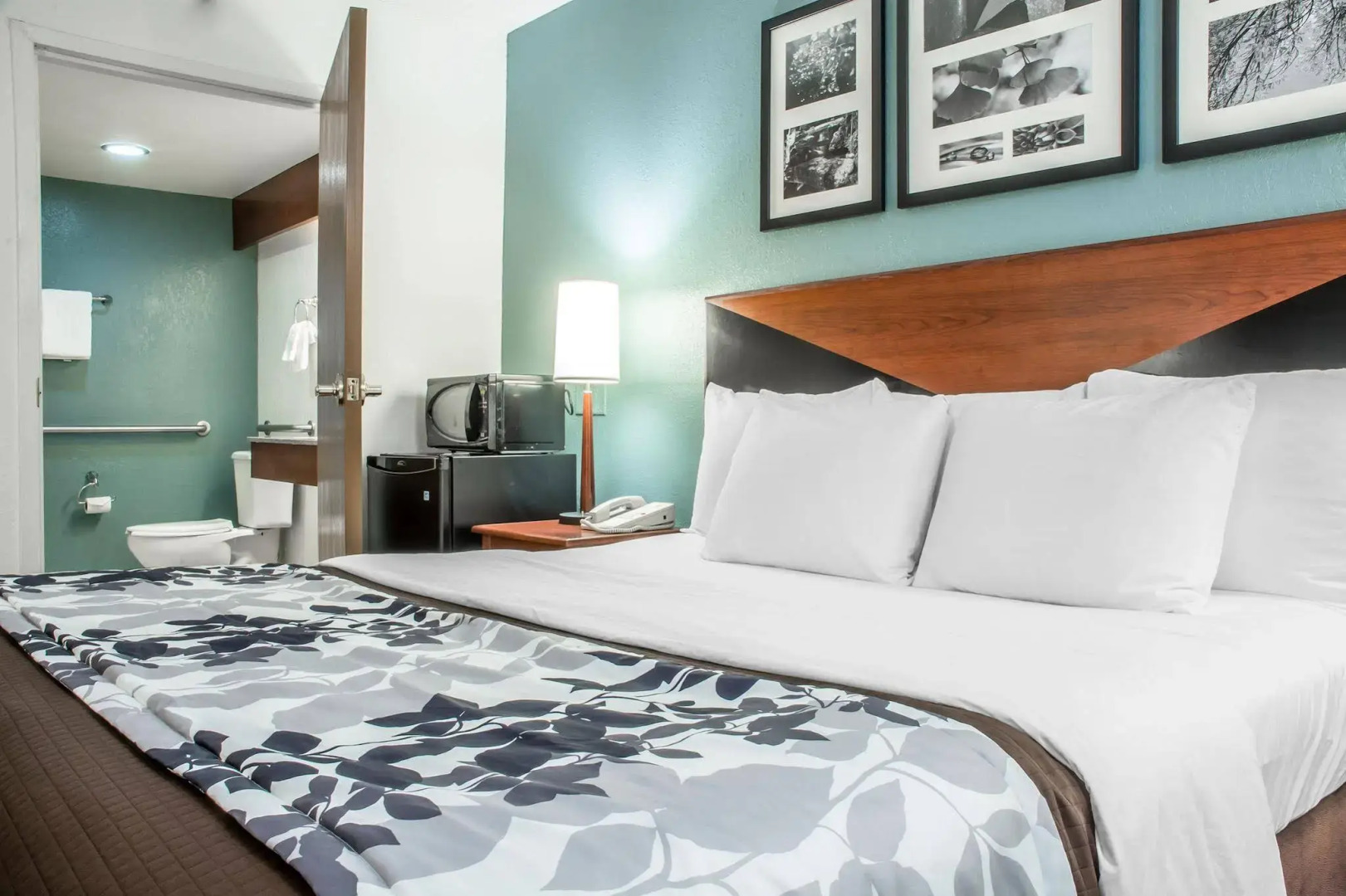 Sleep Inn Amherst - Buffalo North near University