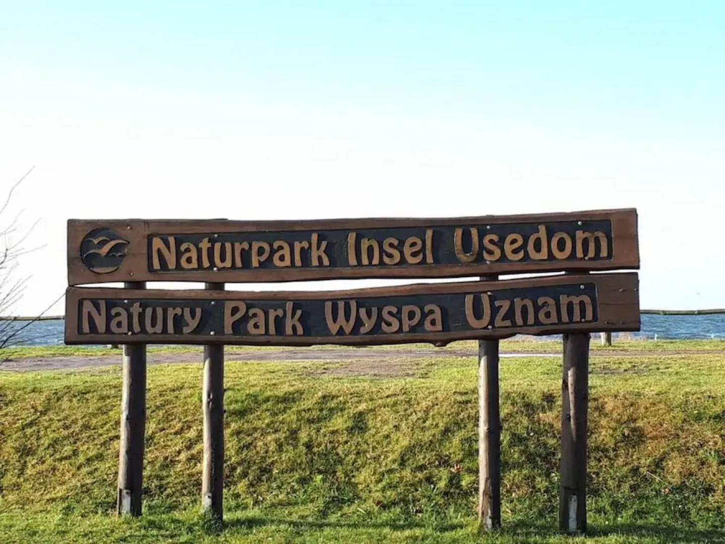 08 am Haff Modern Retreat