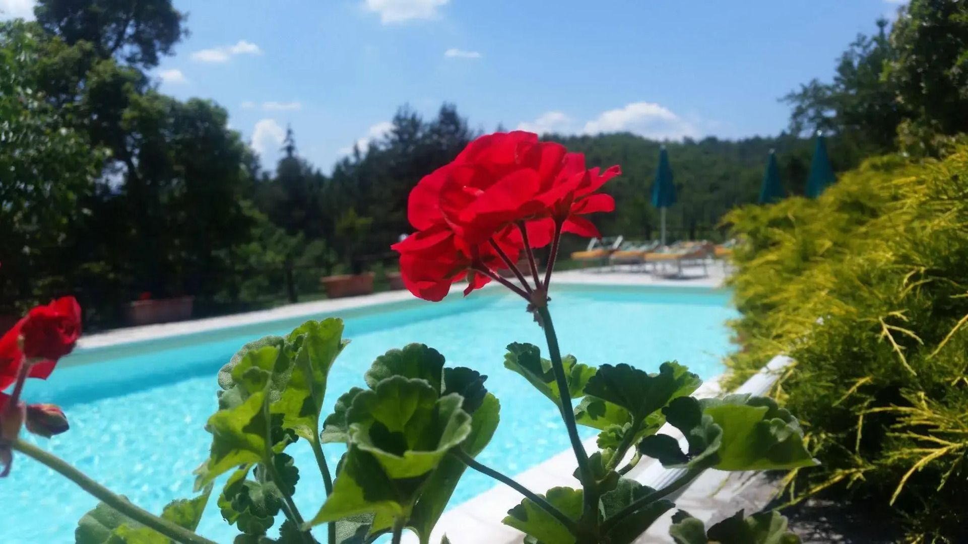 Agriturismo Borgo Tramonte