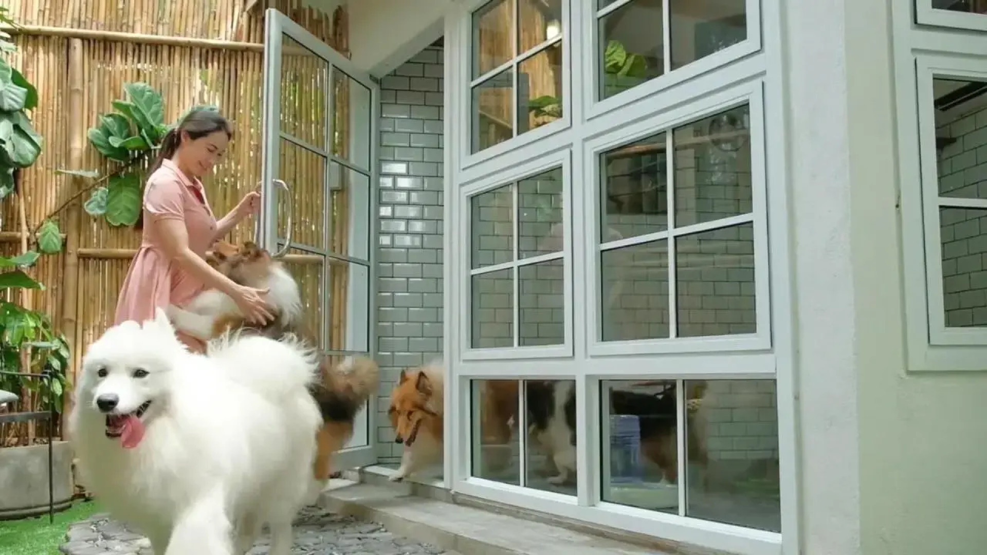 The Country Lake View Hotel