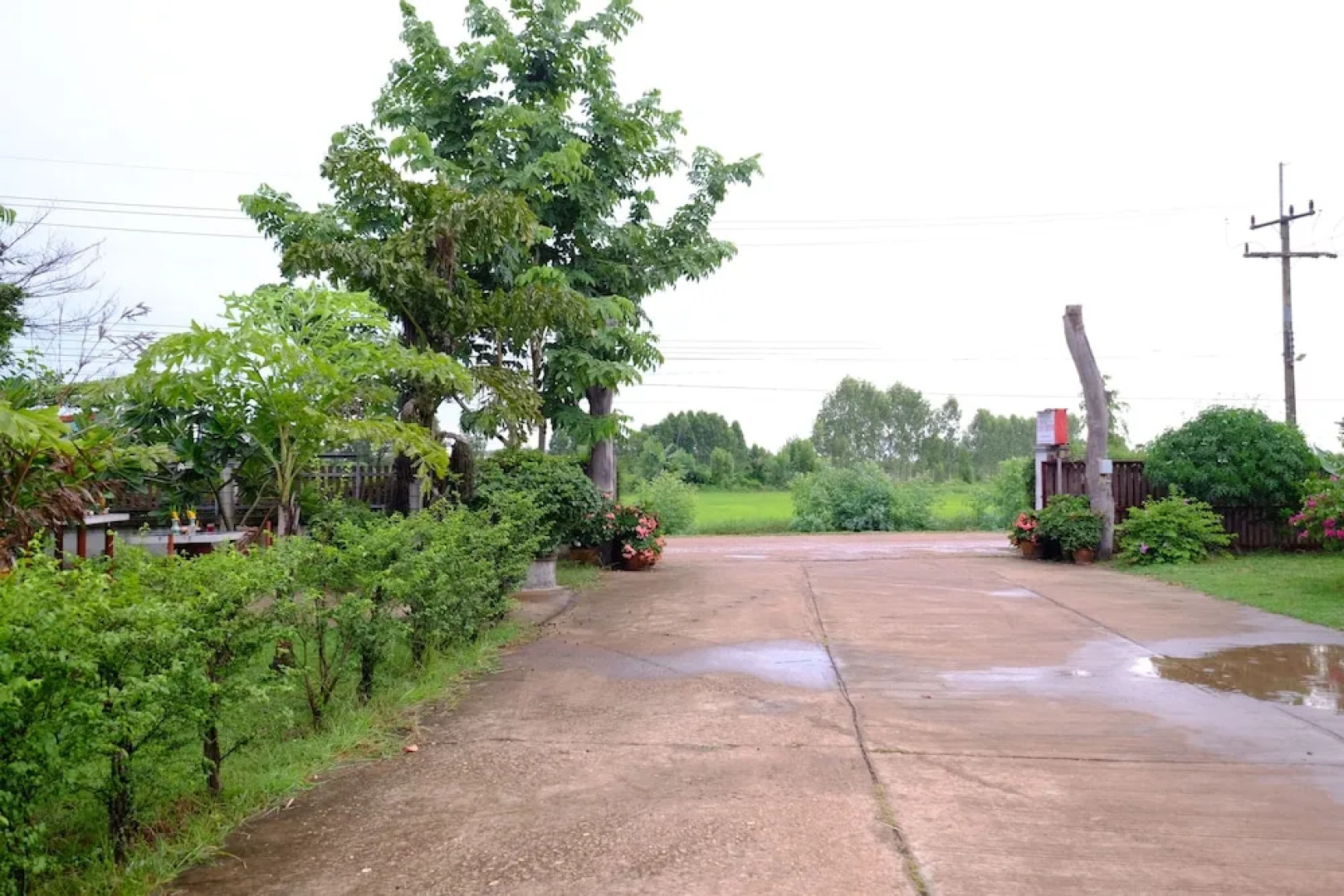 Koko Resort Sakon NKhon