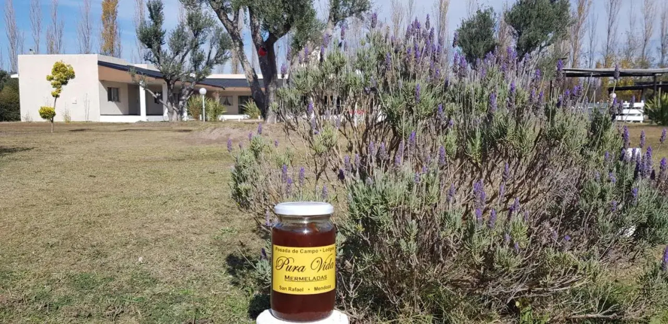 Posada de Campo Pura Vida