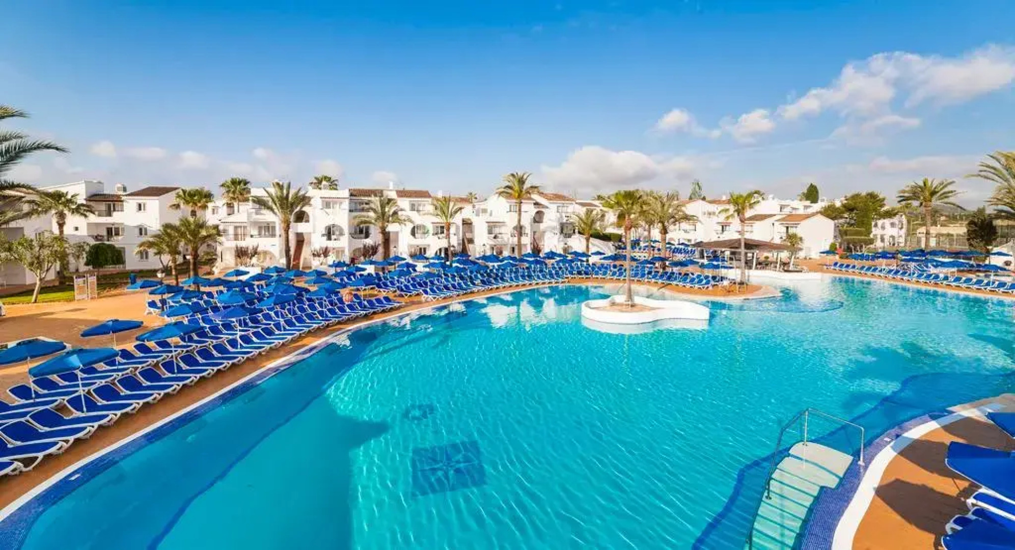 Globales Bouganvilla