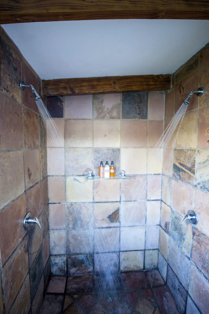 Elephant Hide of Knysna Guest Lodge