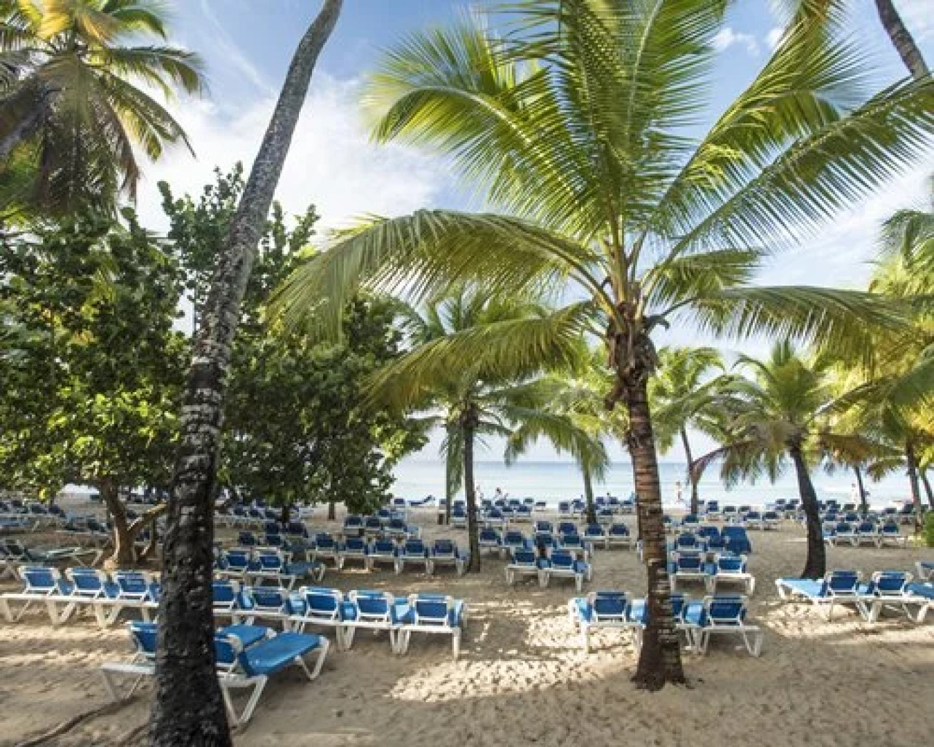 Viva Vacation Club At Viva Dominicus Palace Wyndham, Bayahibe, Dominican Republic