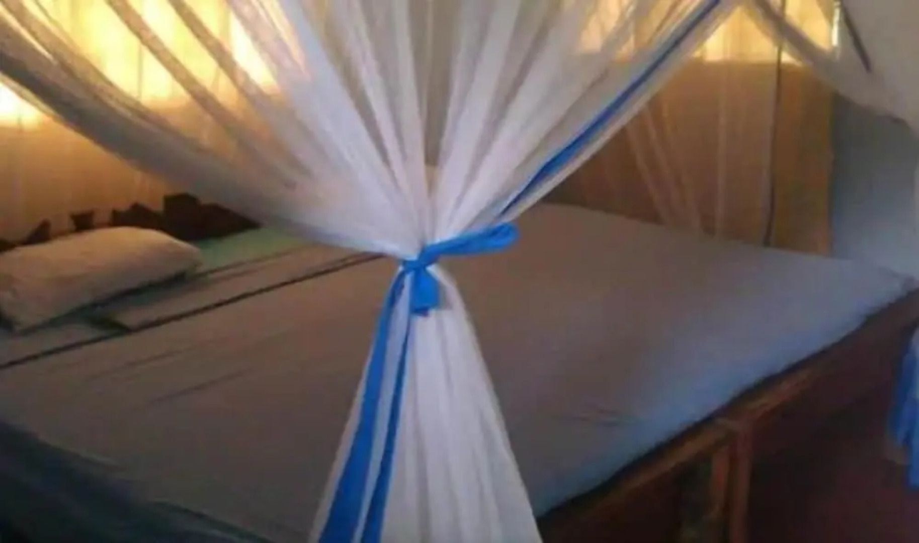 Mangrove beach bungalows