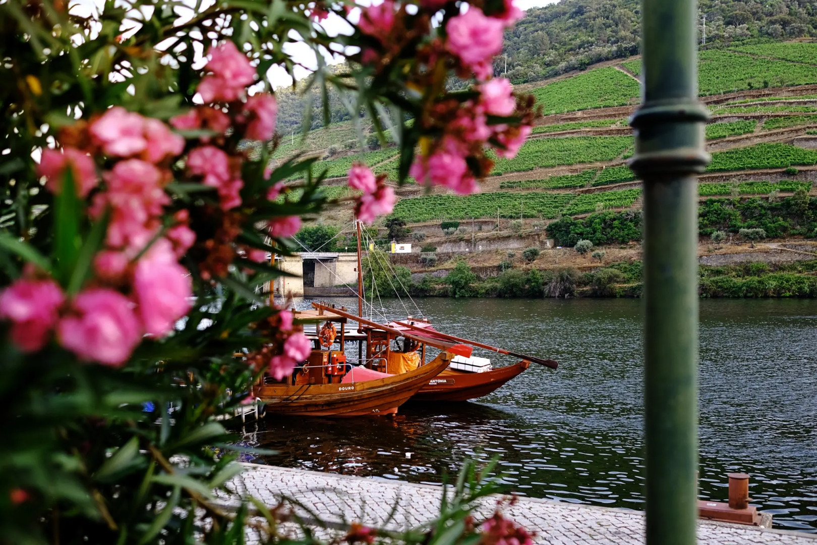 The Vintage House - Douro
