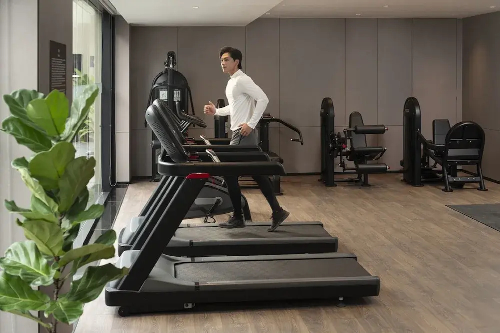 Modena by Fraser Vĩnh Yên