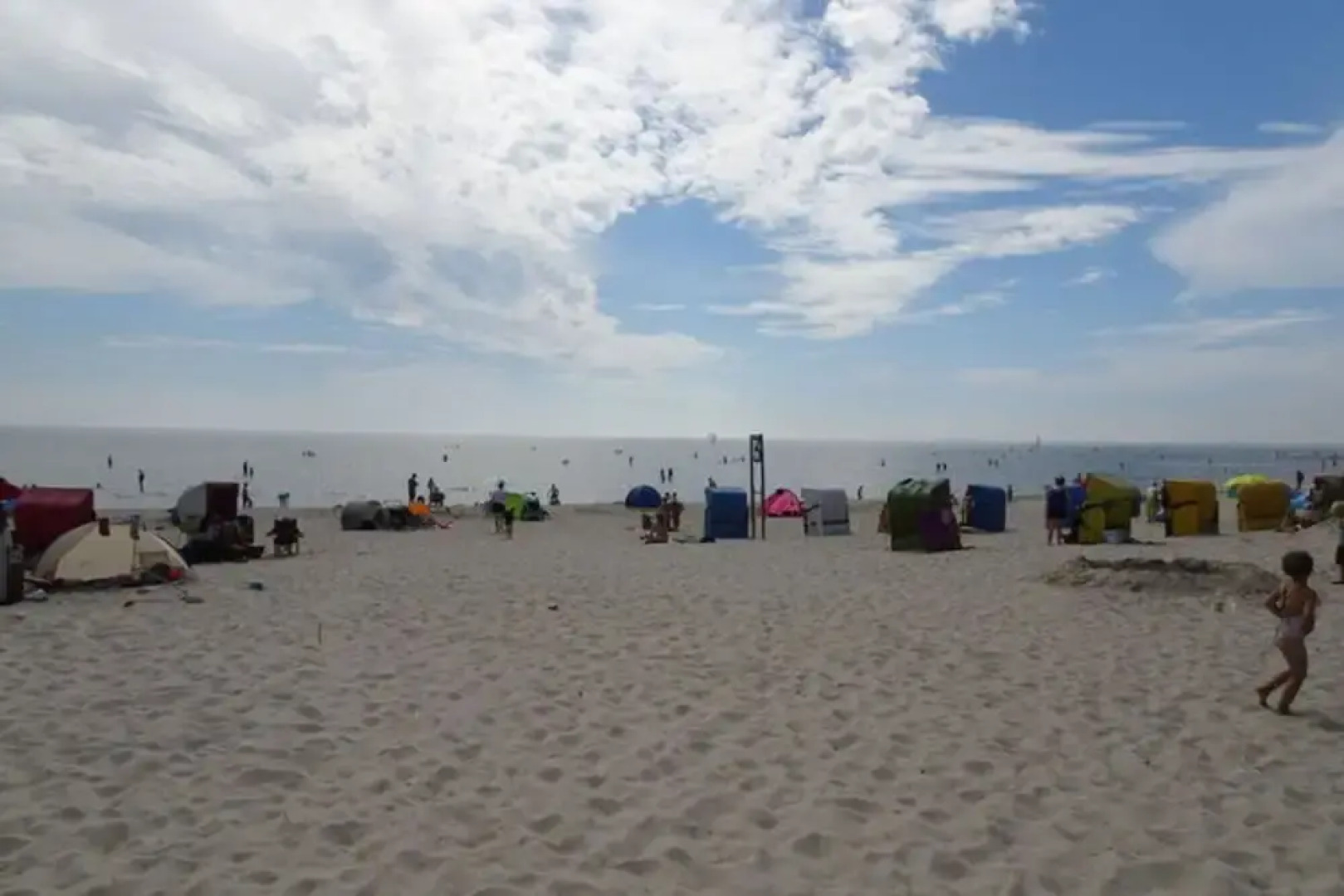 Holiday Home Gray Seal