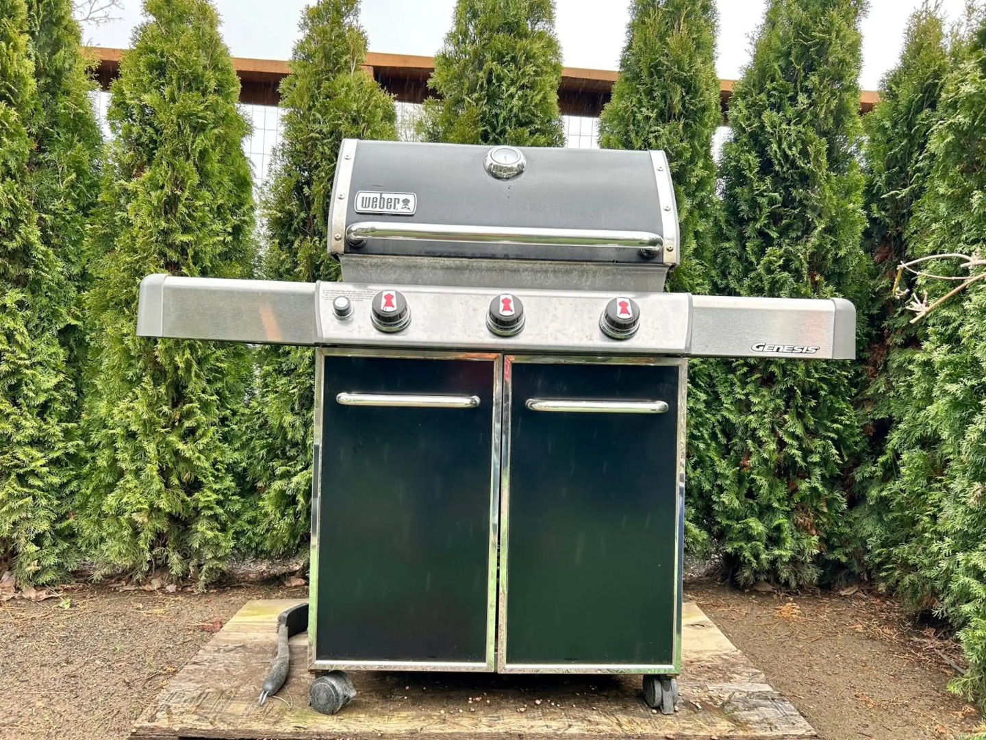 Seagull Studio Vacation Guest Suite