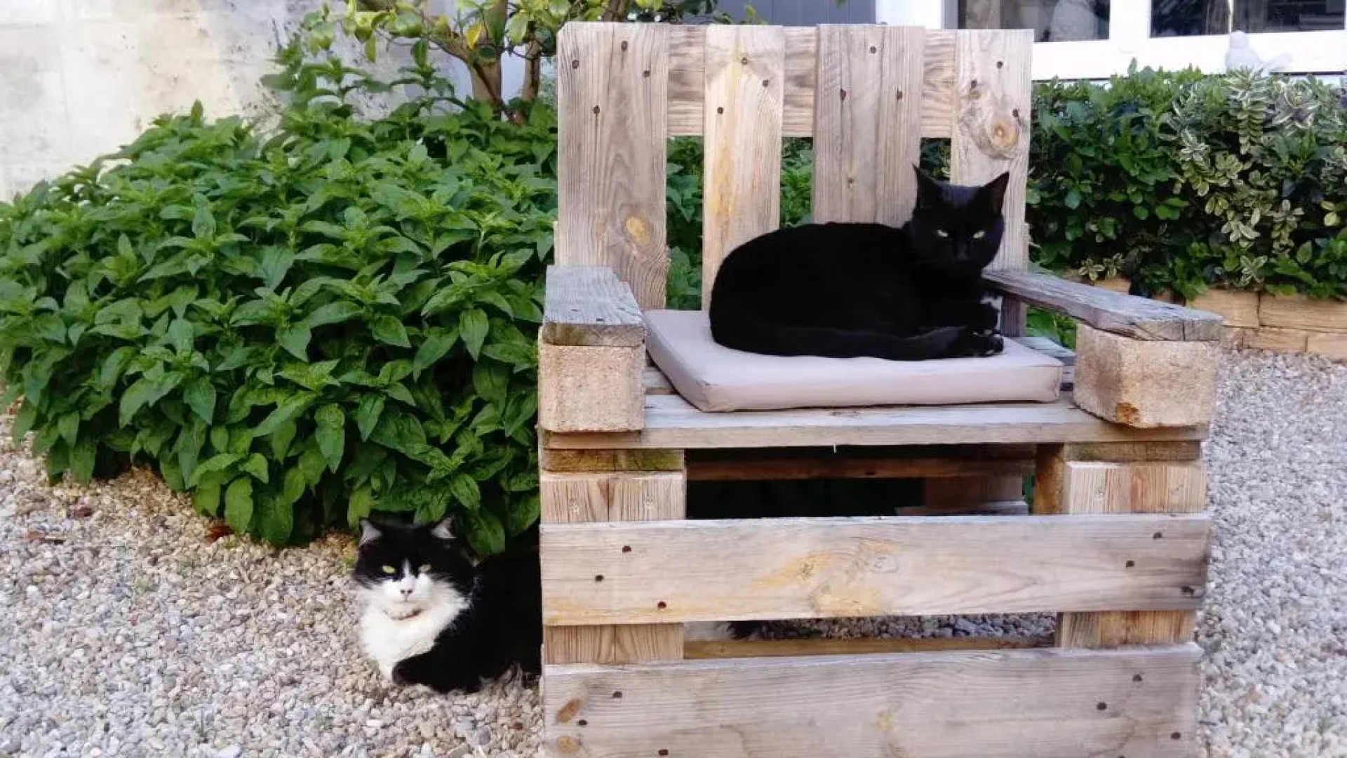 Chambre d'hôtes Le Clos des Treilles