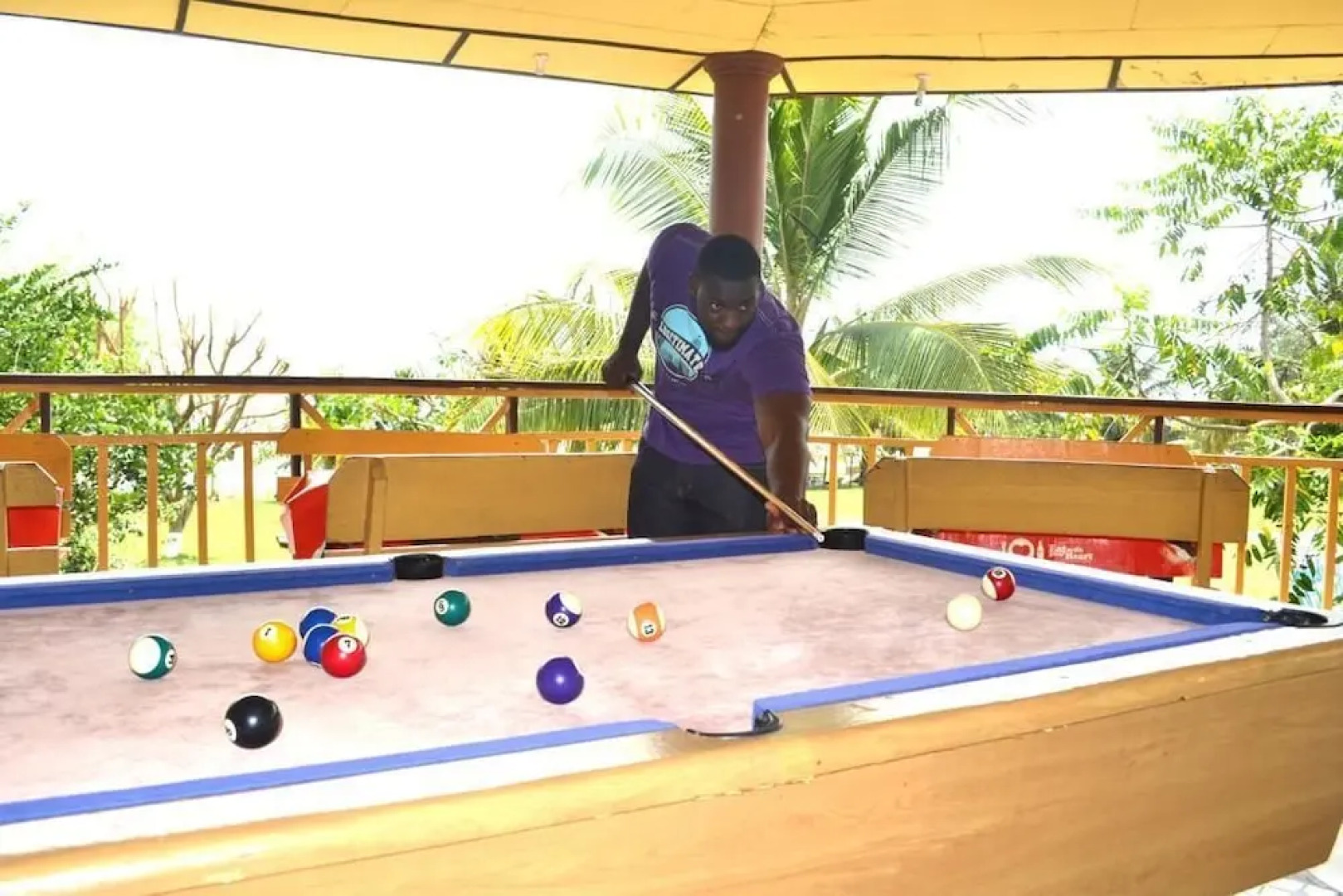 Wildwin Resort - Hostel