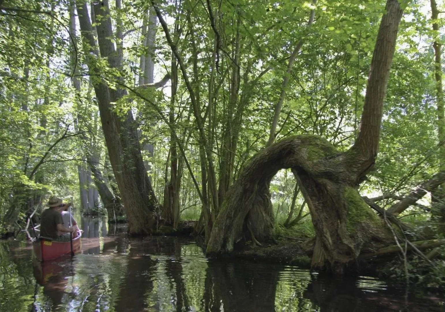Hotel Altes Zollhaus