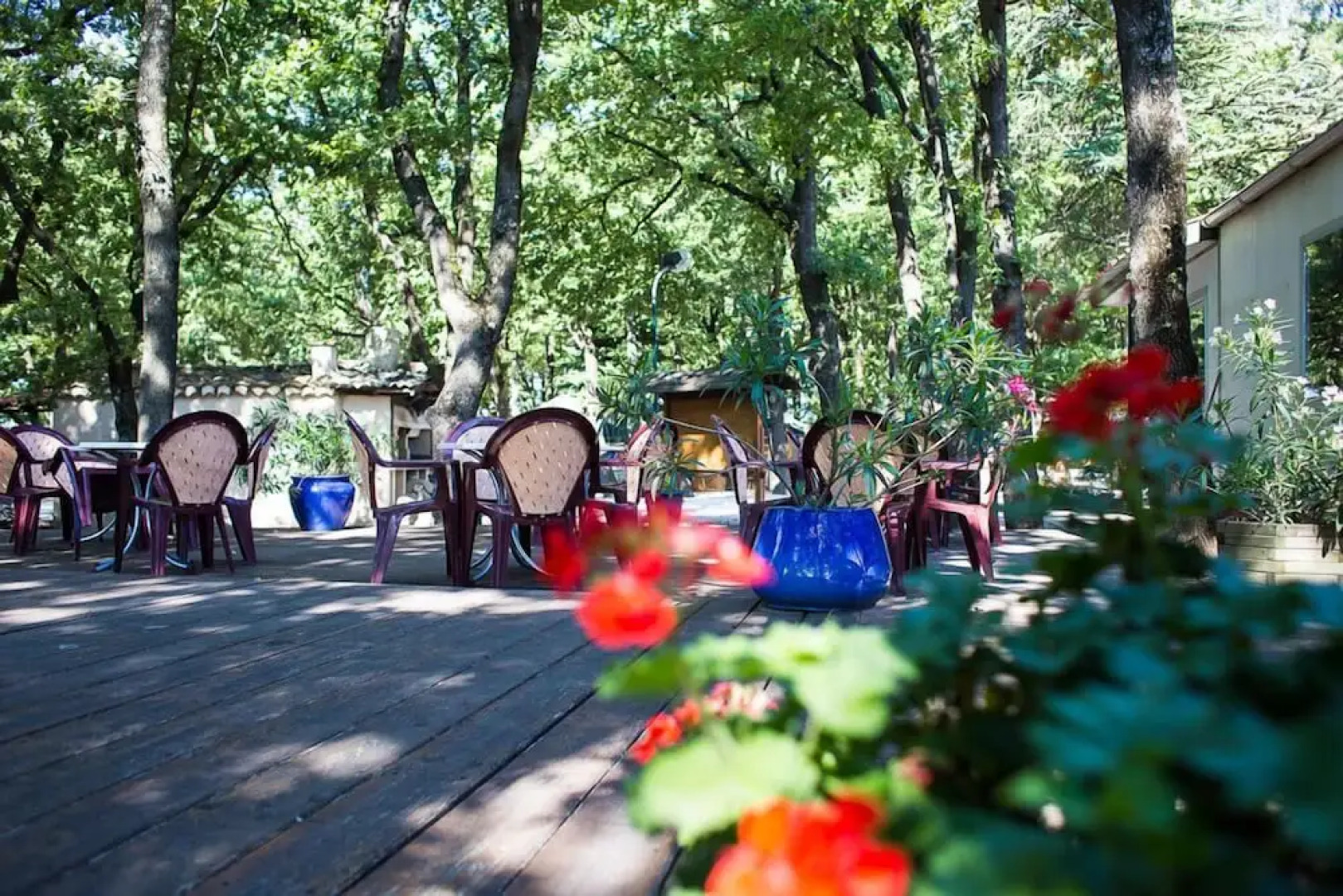 Camping Le Bois Des Ecureuils