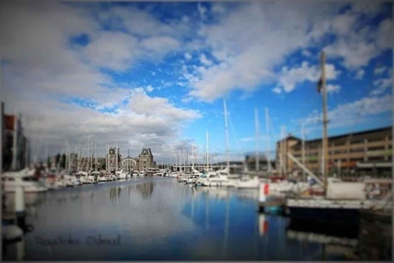 Villa Flandria Brugensis