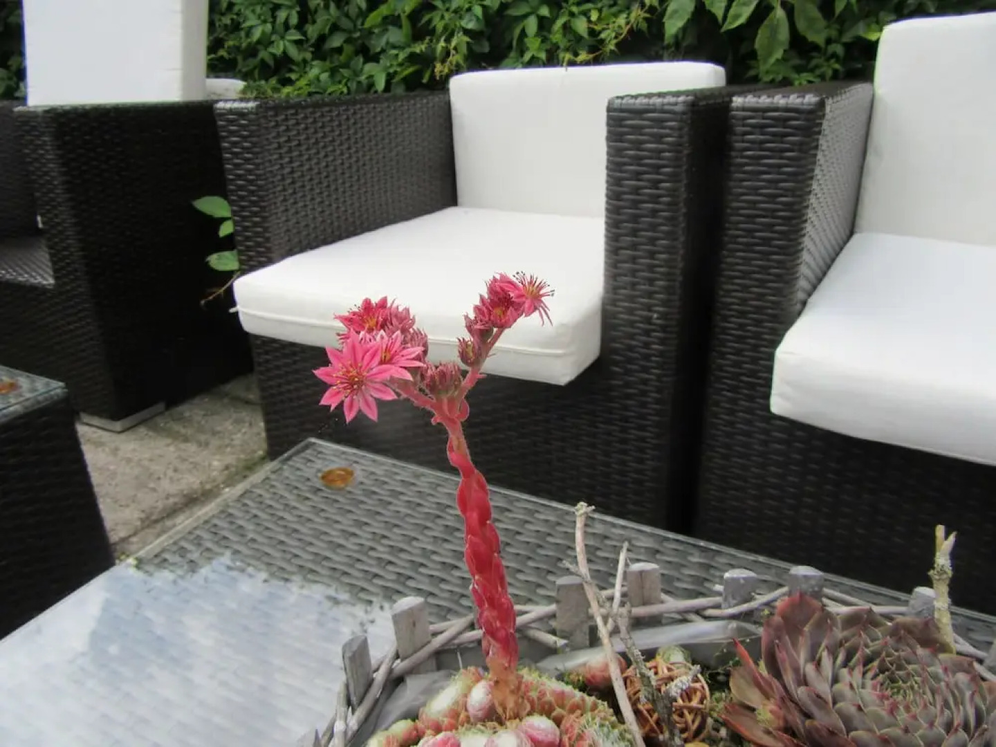 Hotel Pension Zum Hanseaten