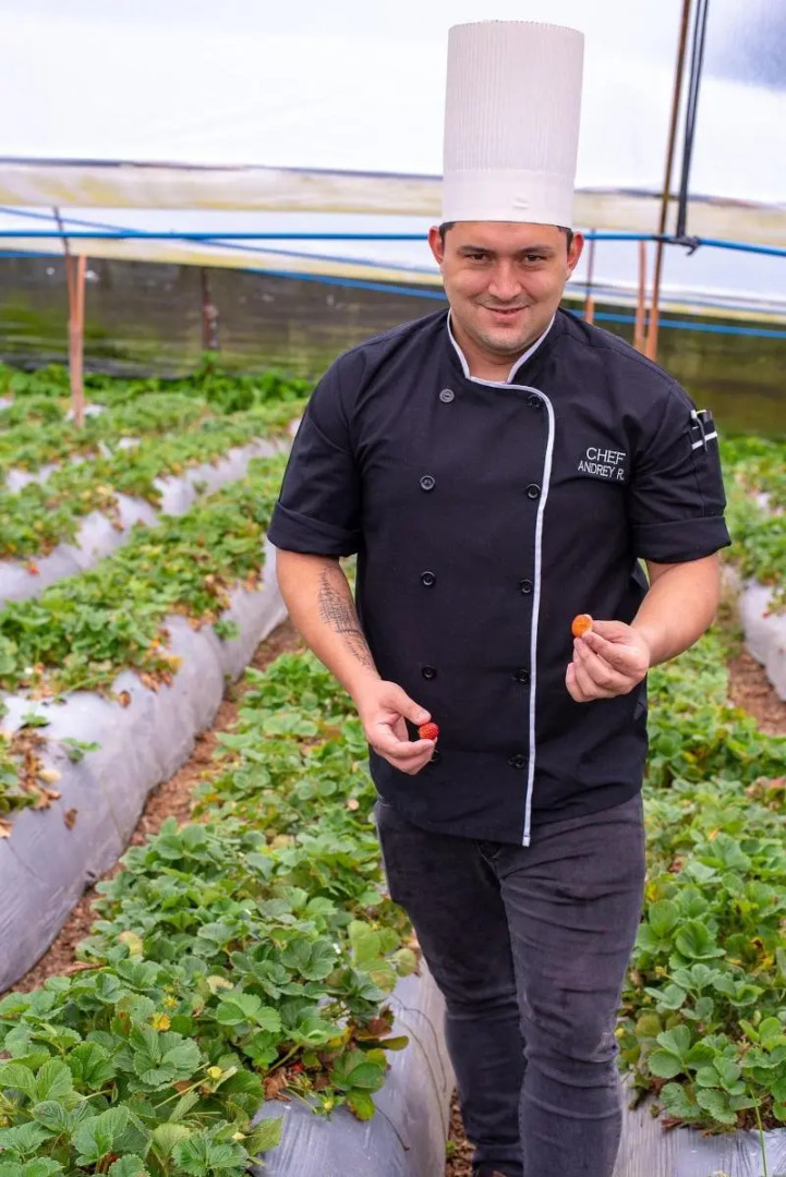 Buena Vista Chic Hotel