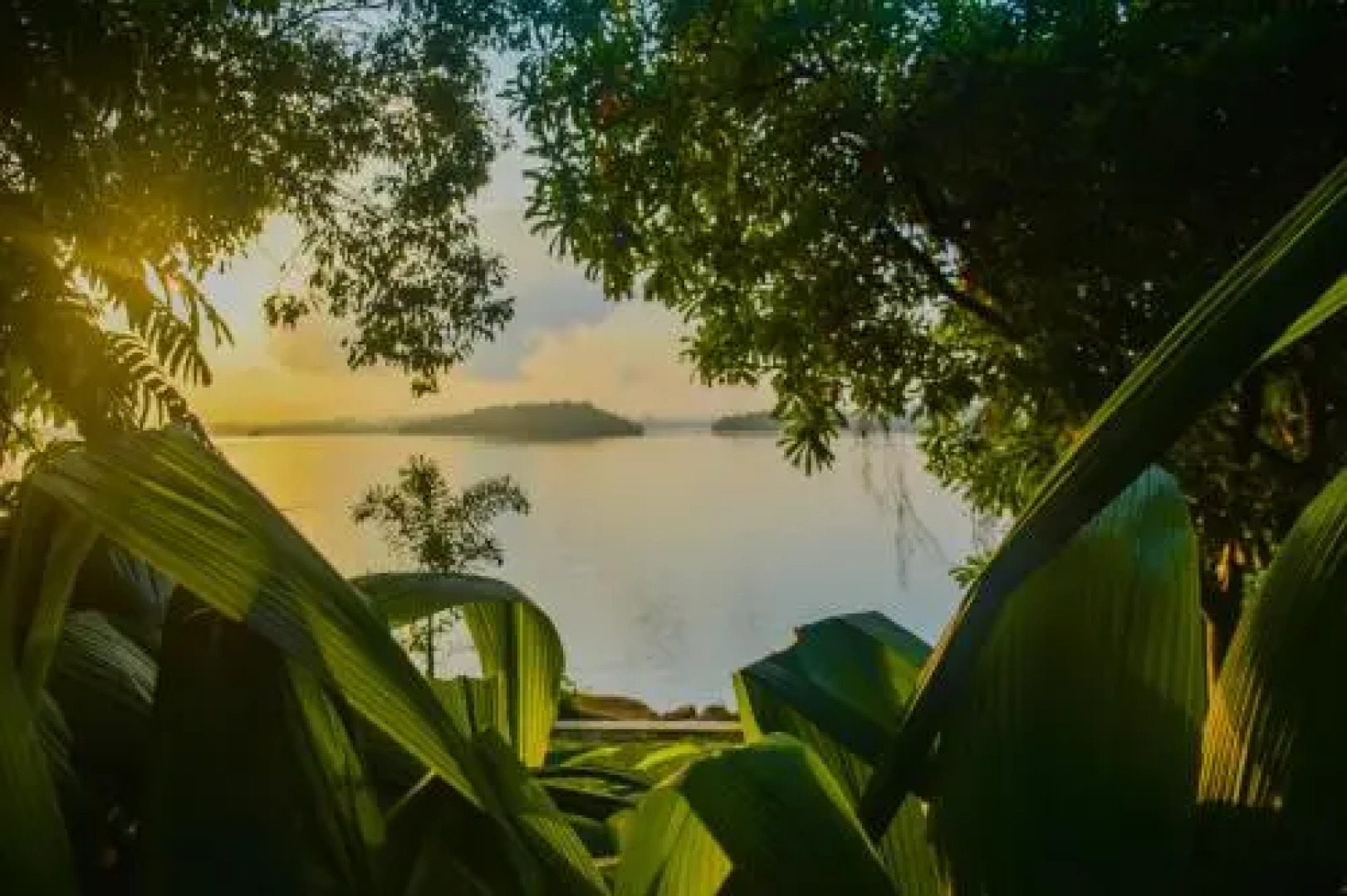 OYO 396 Lotus Paradise Nature Resort