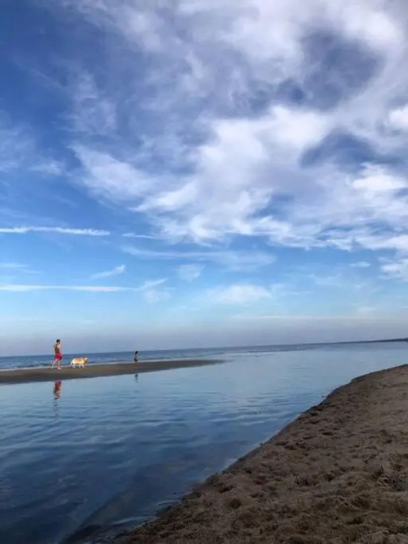 Albatross Weekend: seaside apartment with a sunny terrace