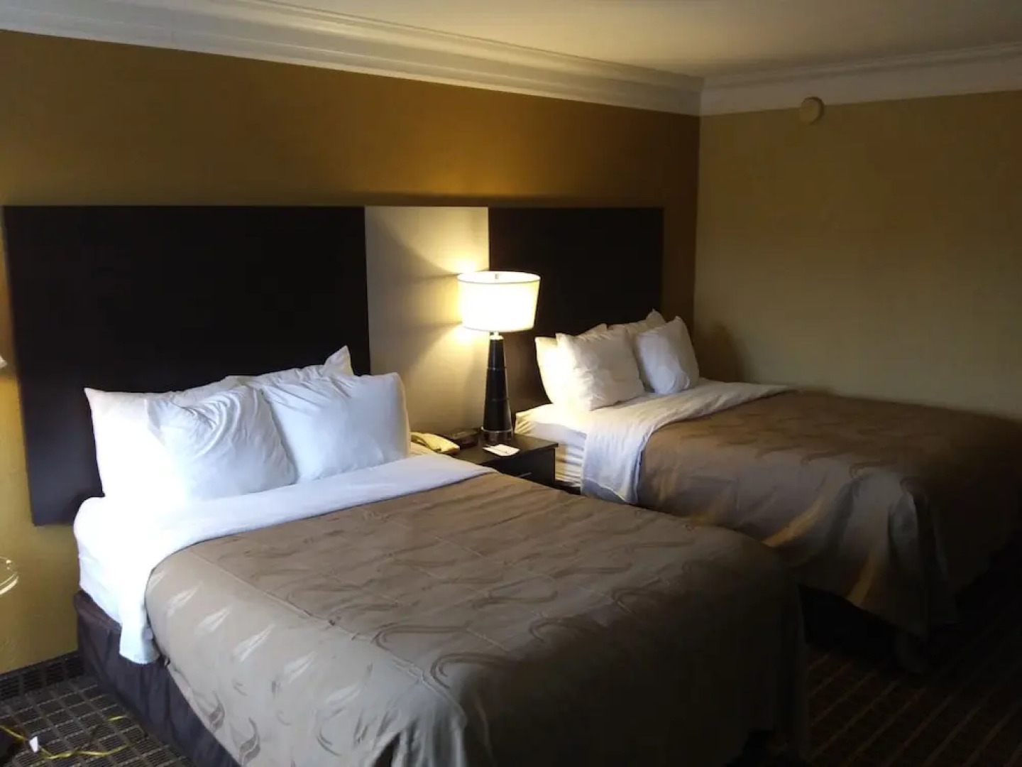 Clarion Inn & Suites Fairgrounds